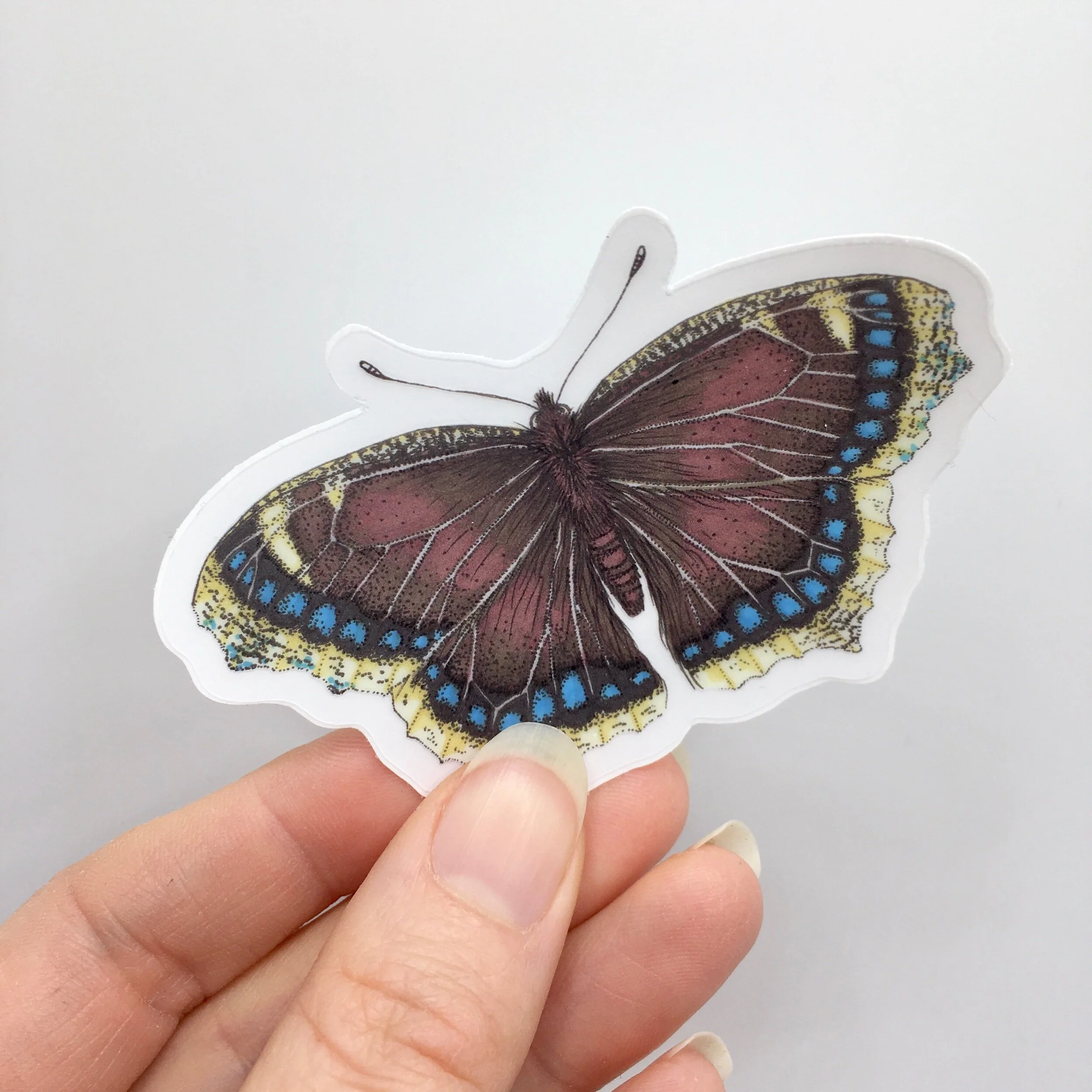 FFF57D63-6DFA-42FD-BC66-D9856844D267