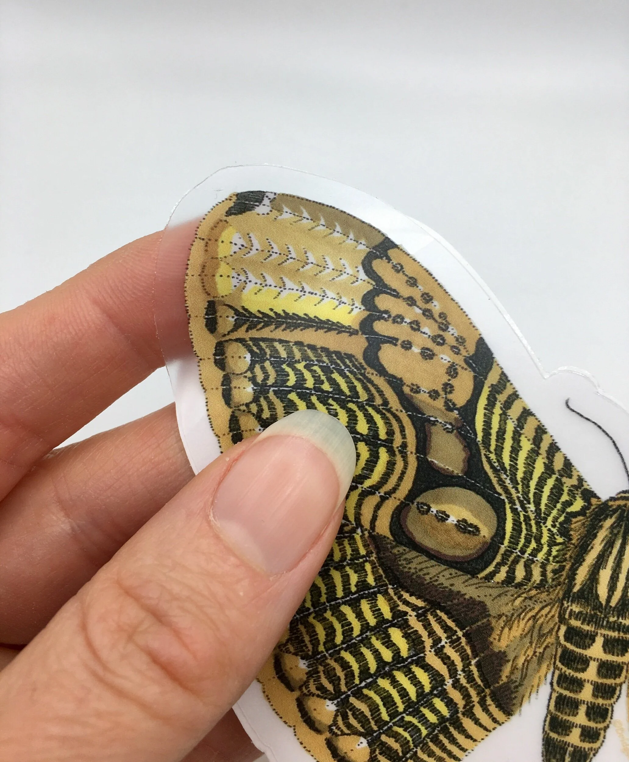 AA39430F-B94B-4124-881C-119CC9F0C5CD