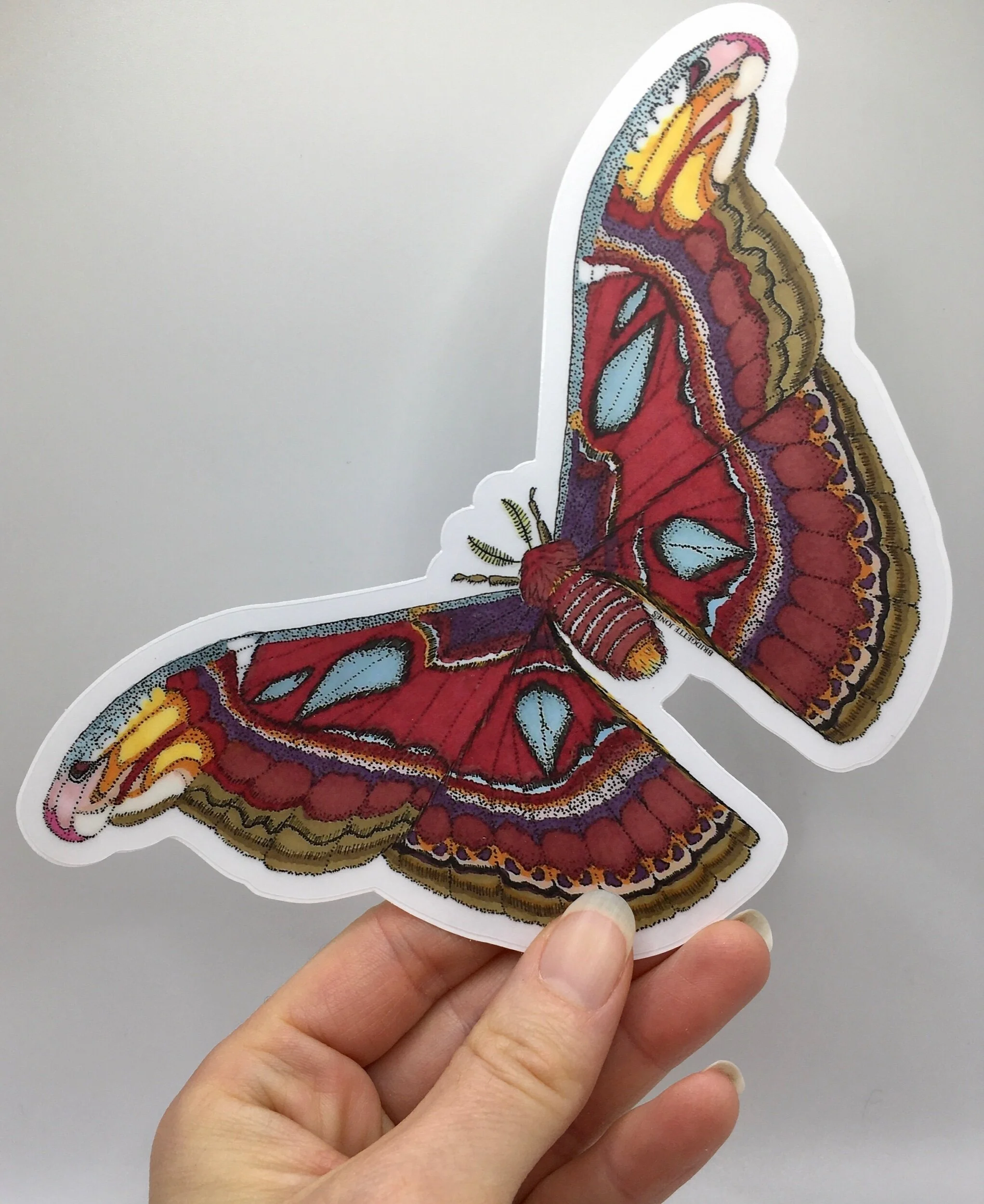 8CBC1EF8-31E9-4AB3-B322-FAE4F4935F76