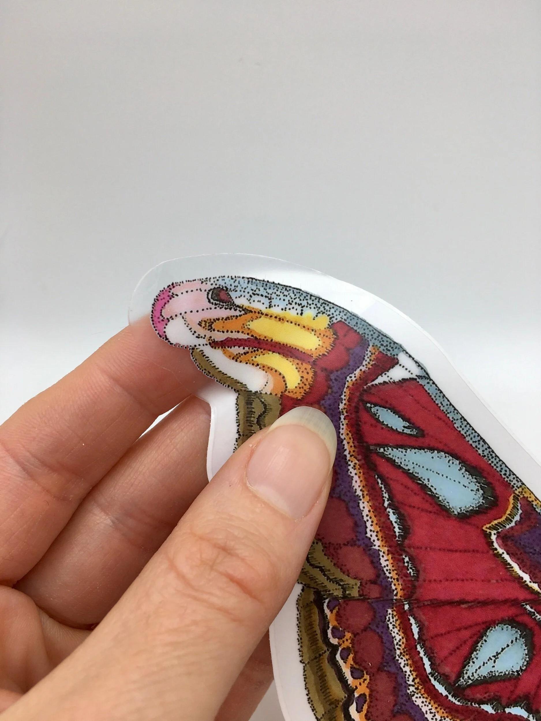 CD8FDC0F-FB48-42A5-9AF7-223E62837CC2