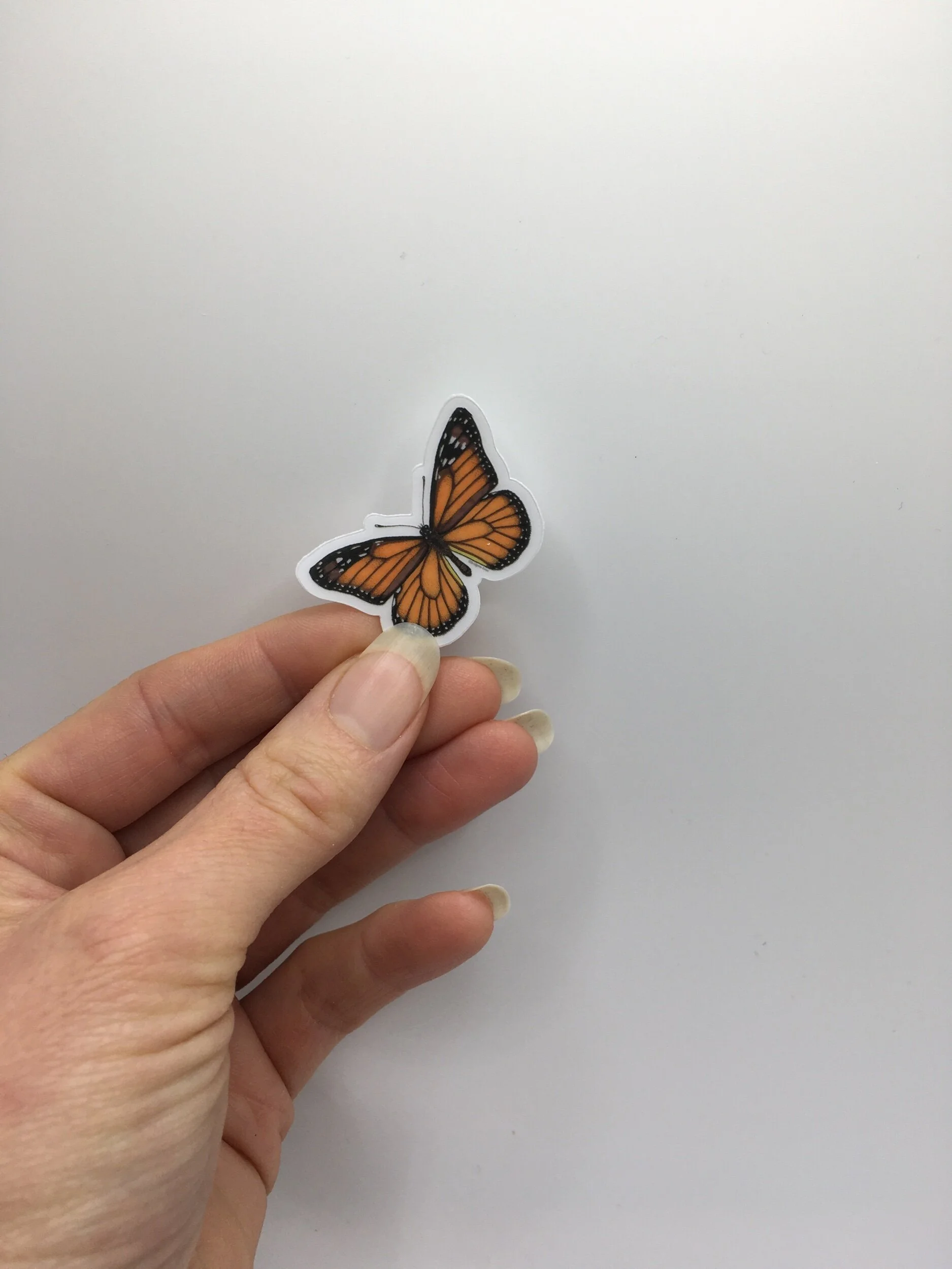 0FA8135F-97E5-4818-A7CC-620788ACE381