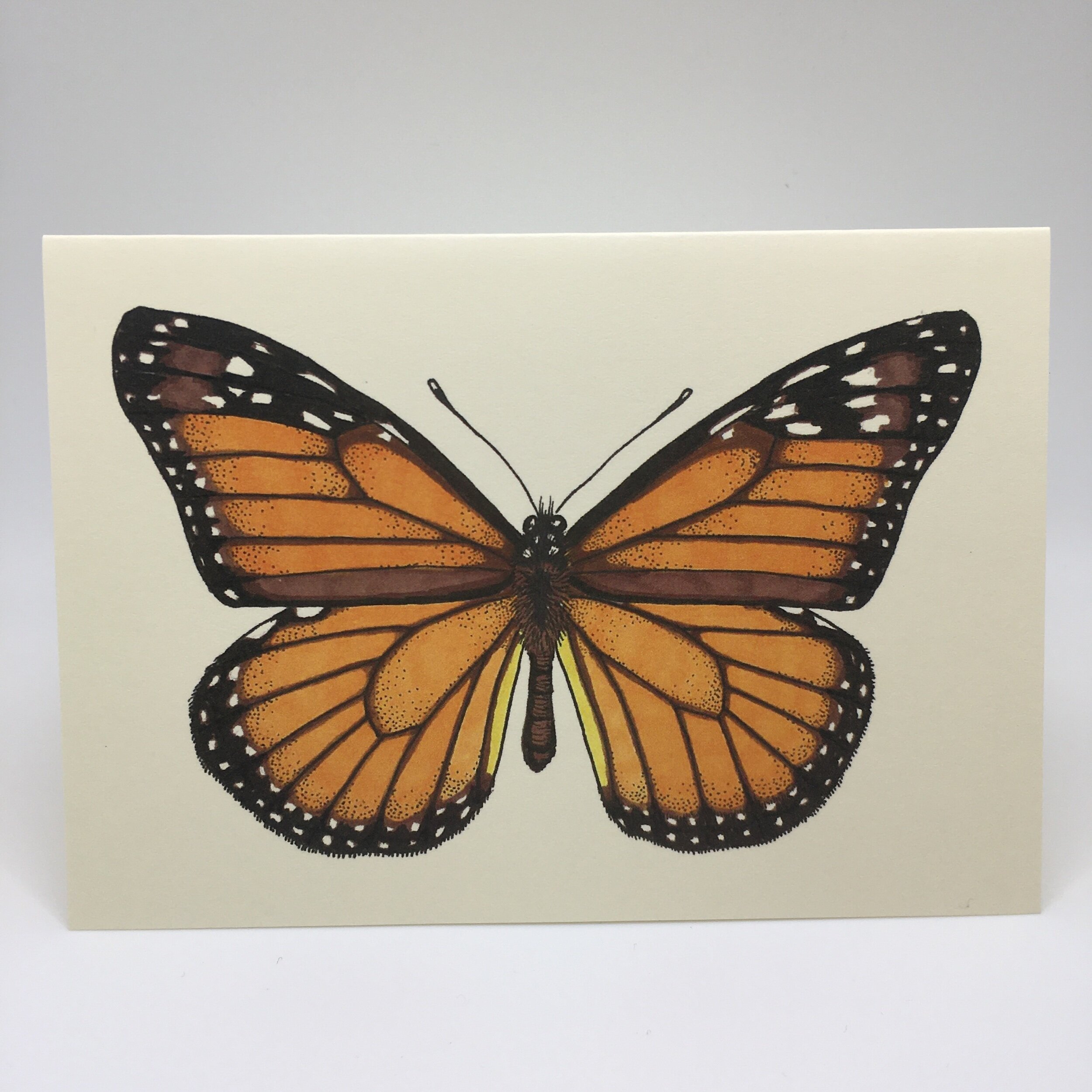 90CE7500-7385-49F9-85E3-02940E740A37