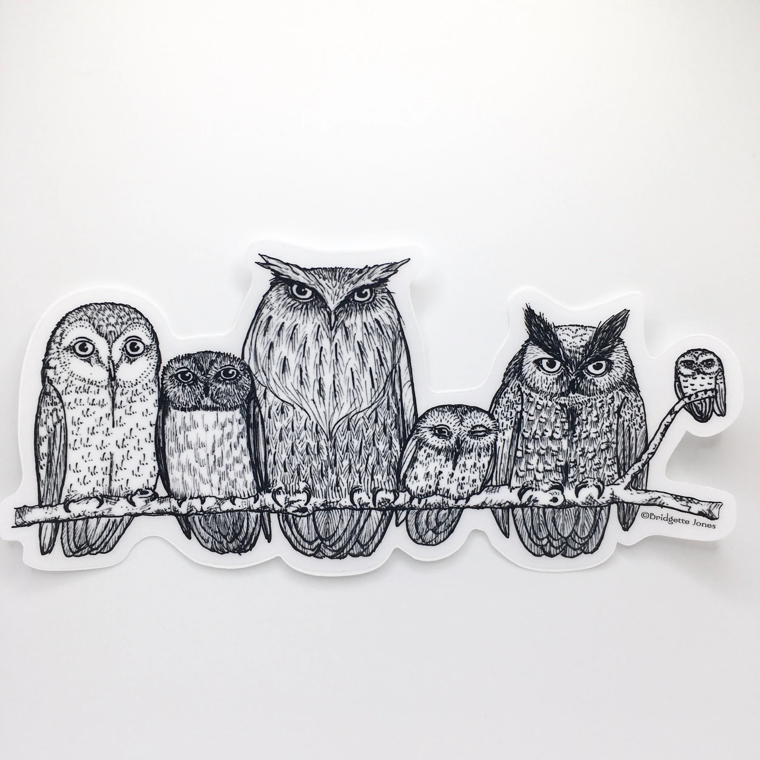 412ACFAB-409F-4F7C-B462-D4E58BD95580