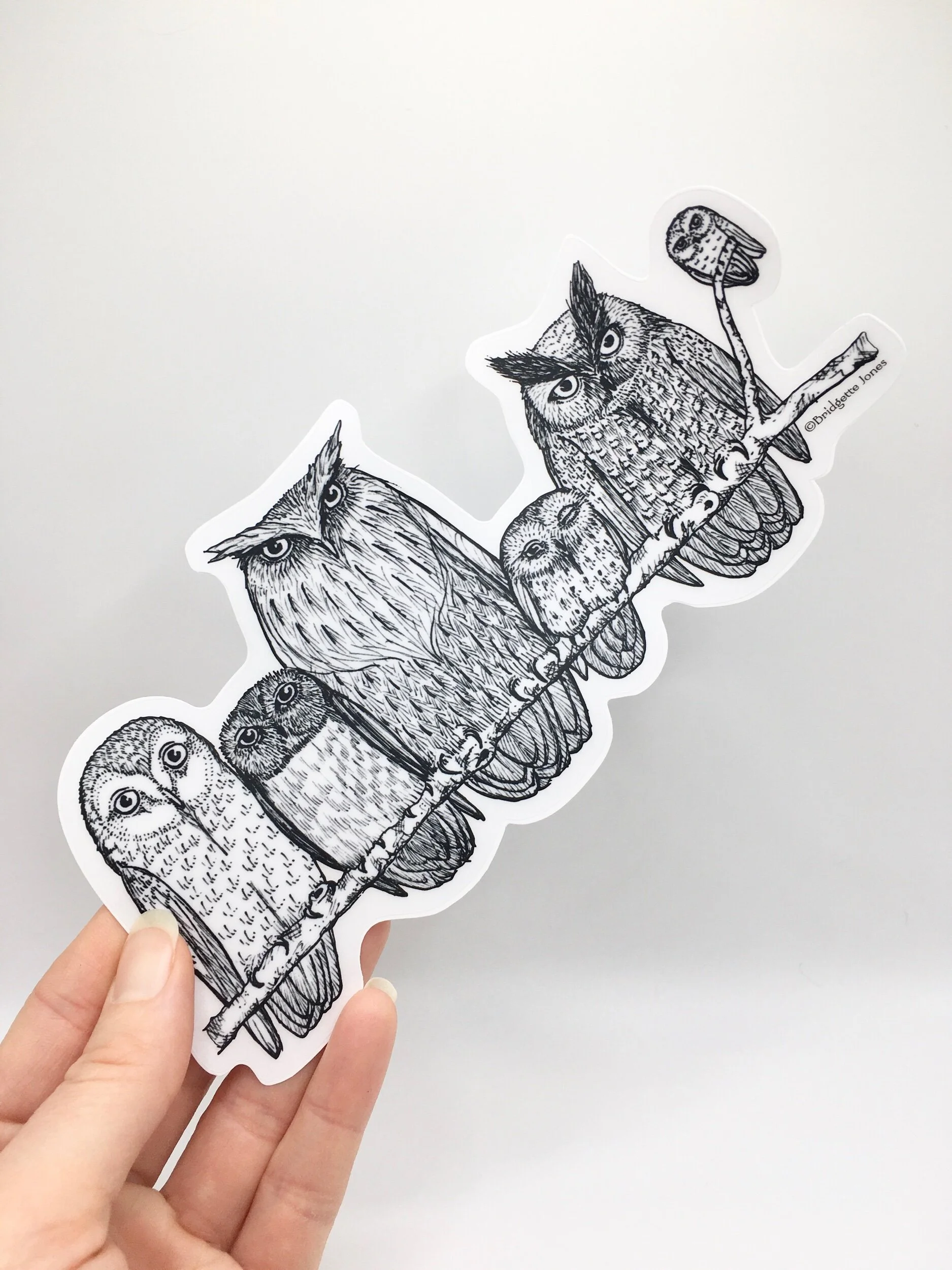 D507EBF4-6F9B-411E-81EF-210C8E2CAAC1