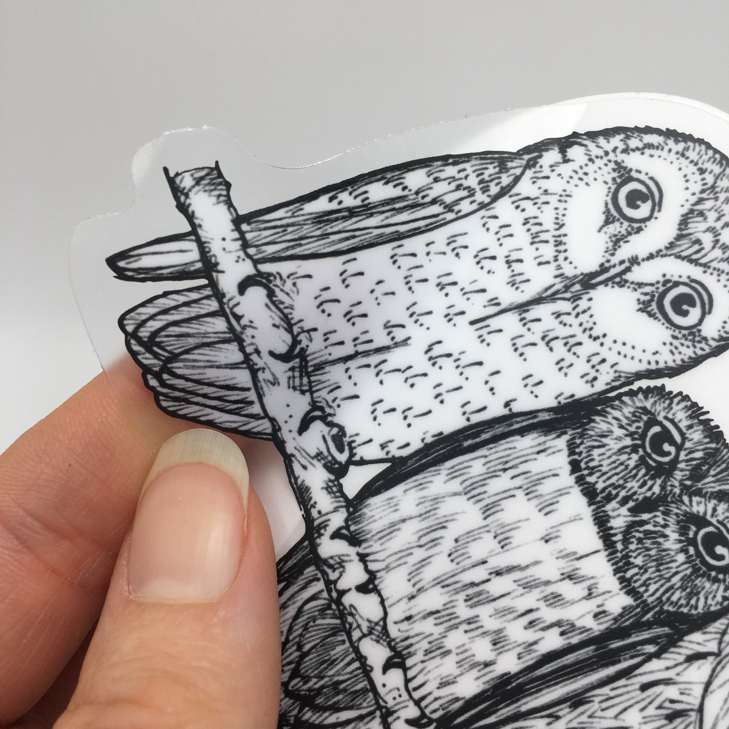 CBB921D4-8859-44D5-AEB1-B11E99C5CA87