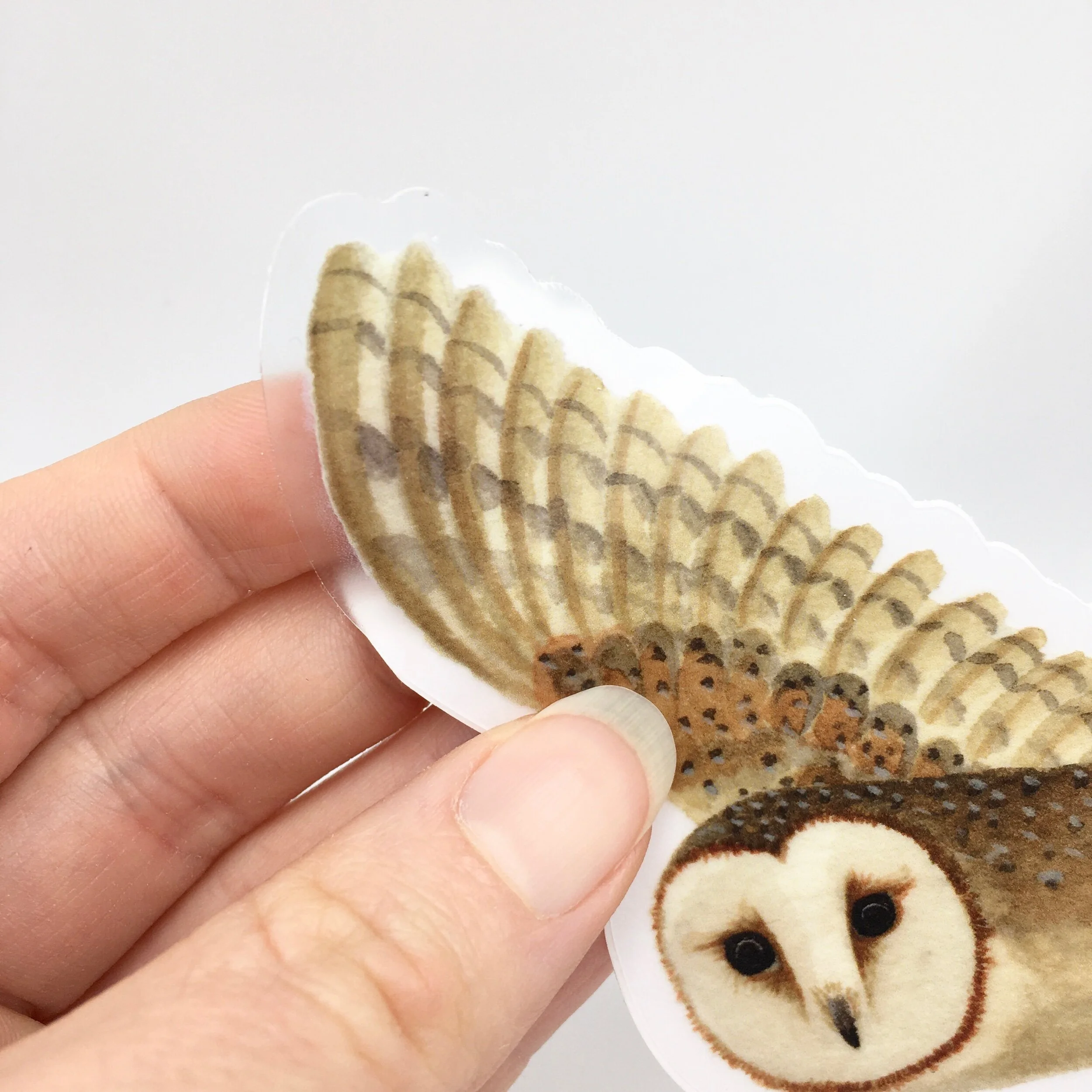 828AE7DB-5FD7-48AF-8348-7C79CCFECAA8