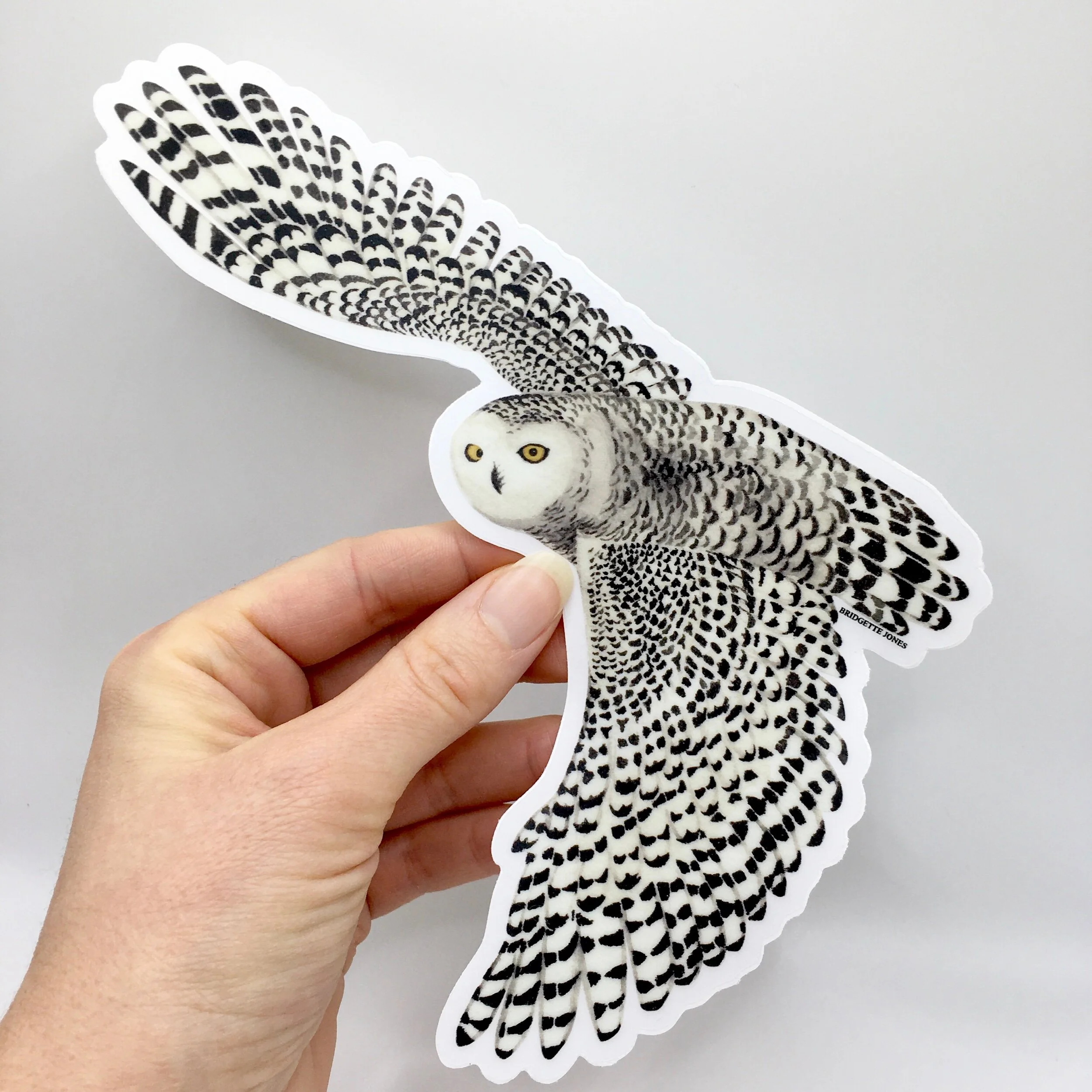 73029911-E68F-4196-ACAF-370469E0326B