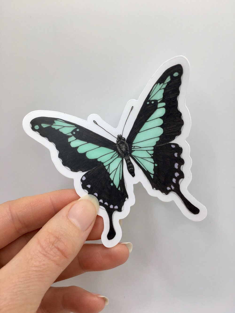 Set of 12 mini clear moth bumper stickers —mini cards Bridgette Jones  Nature Prints-Bridgette Jones Nature Prints