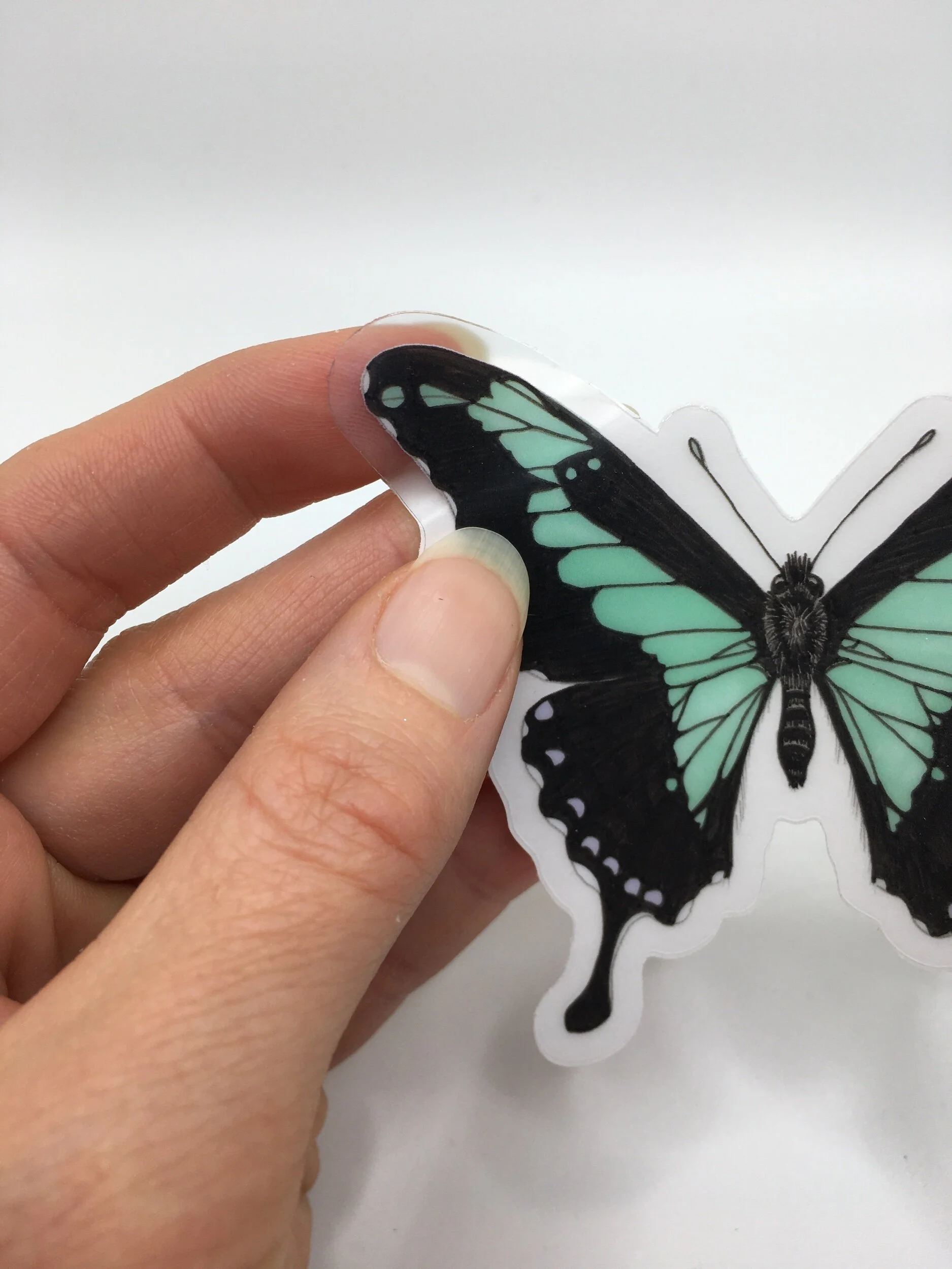 741FE623-3373-439F-96EB-BE1E27C5B10C