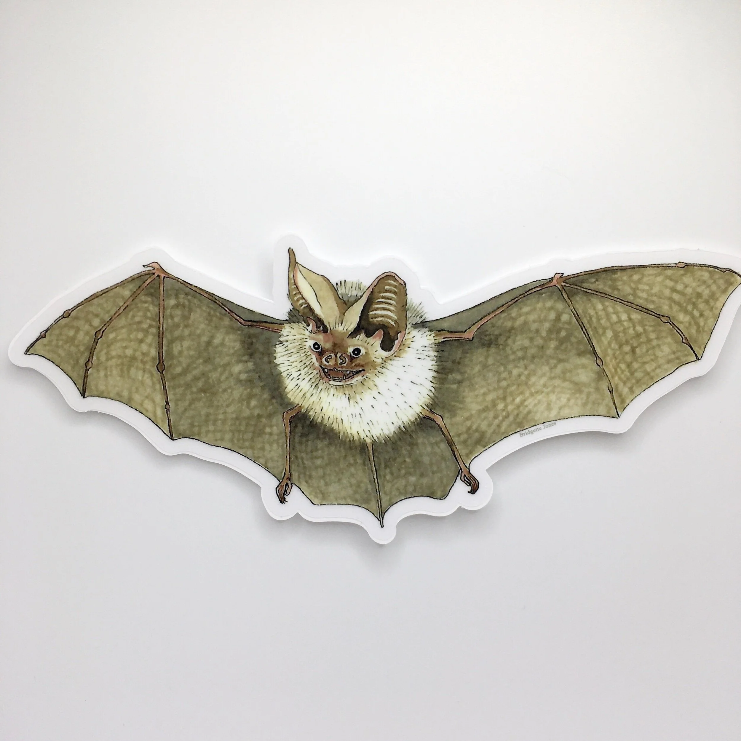 6E0E0555-EE50-4C1C-B933-E67276BA35E5