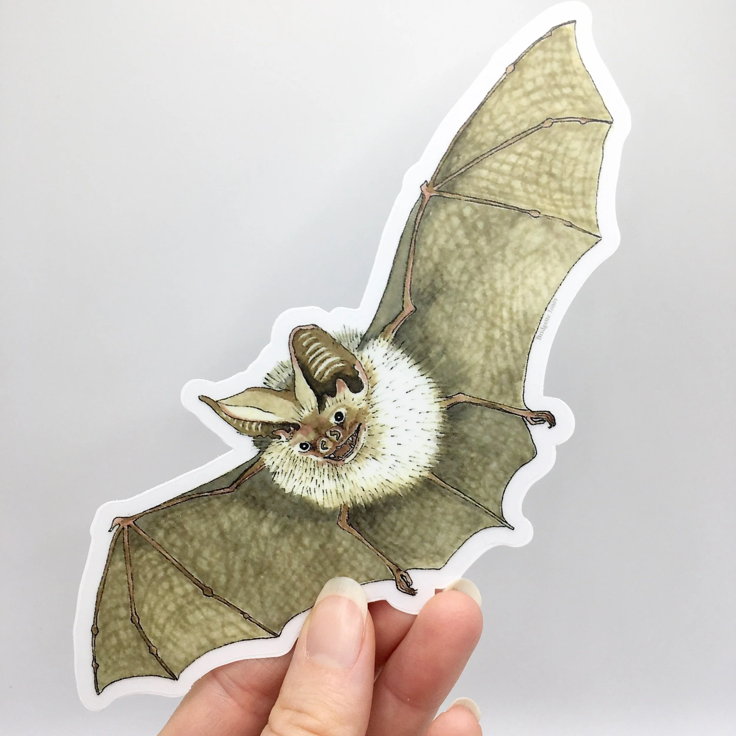 073FF3A8-BF8F-46BE-800B-B16BE39A7431