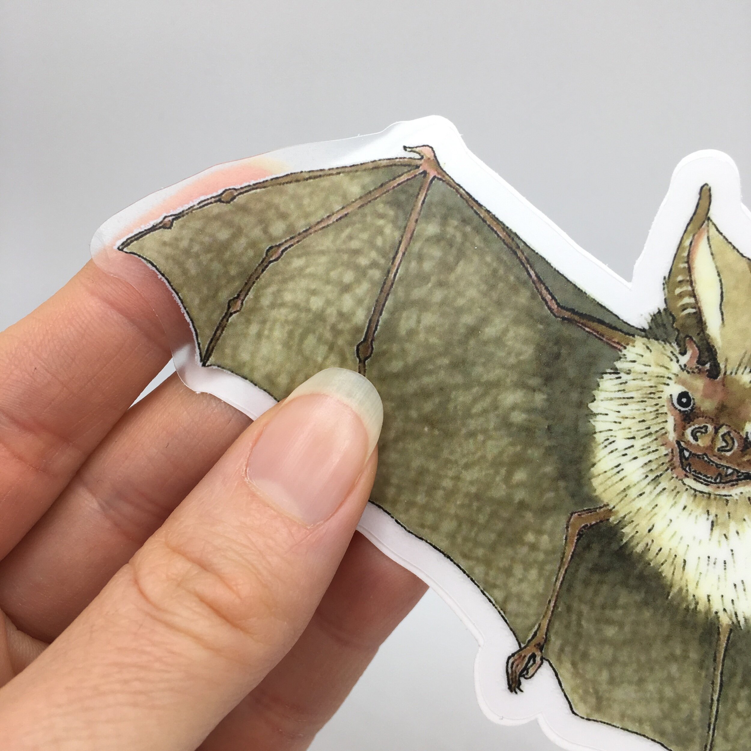 D4E05310-BC4B-4BA5-9C26-AF4BBC0577AA