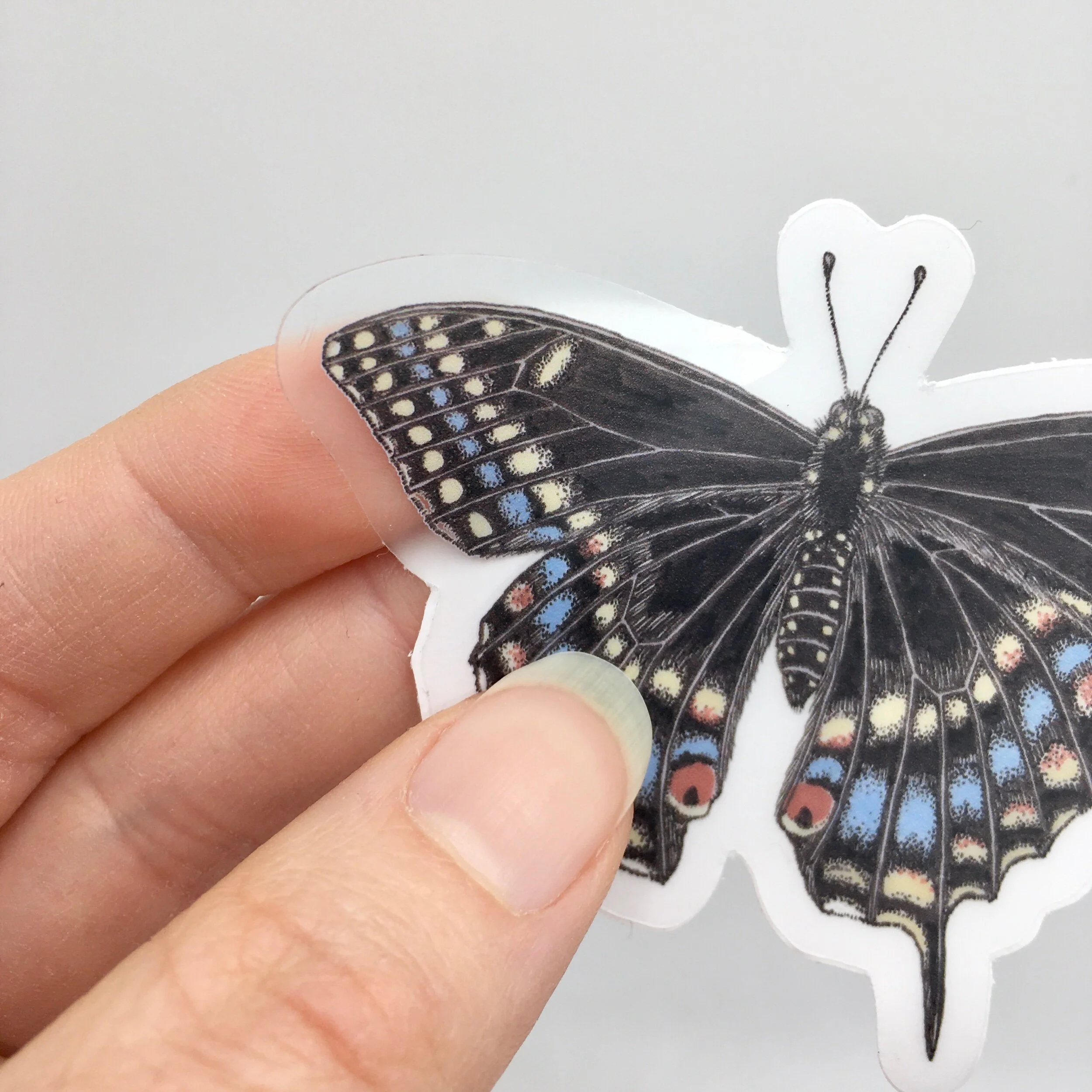 ACEF6A6E-1326-48B4-BCB1-CF2AD5CA1FA5