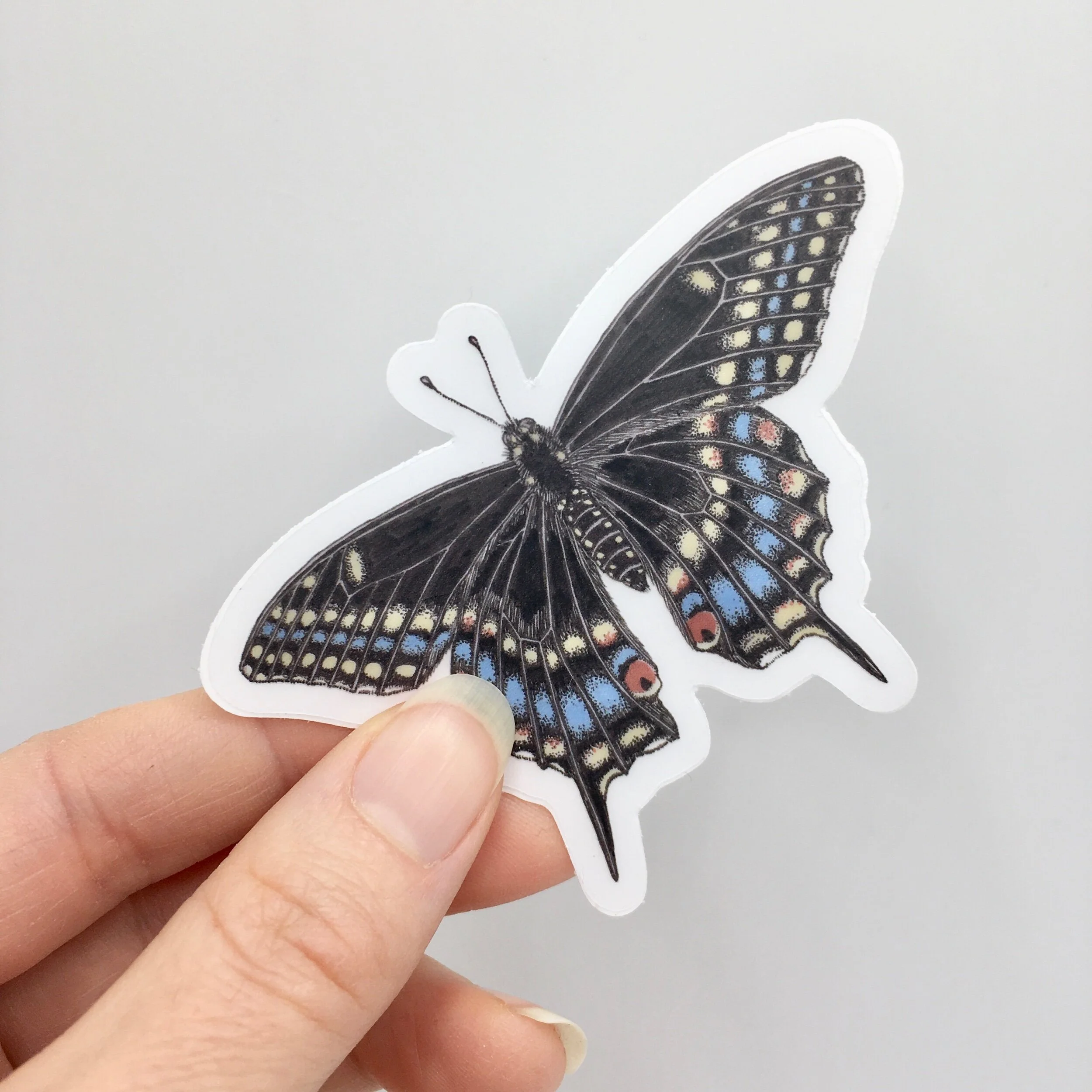 C4C16FD5-2345-430E-A050-29FAF0A34894