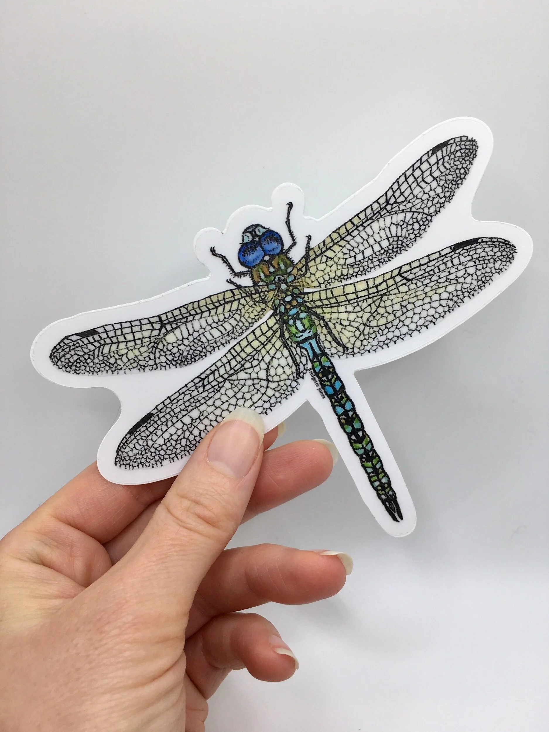 B7CB4DCC-FACE-4C7D-B204-21D41FAF2401