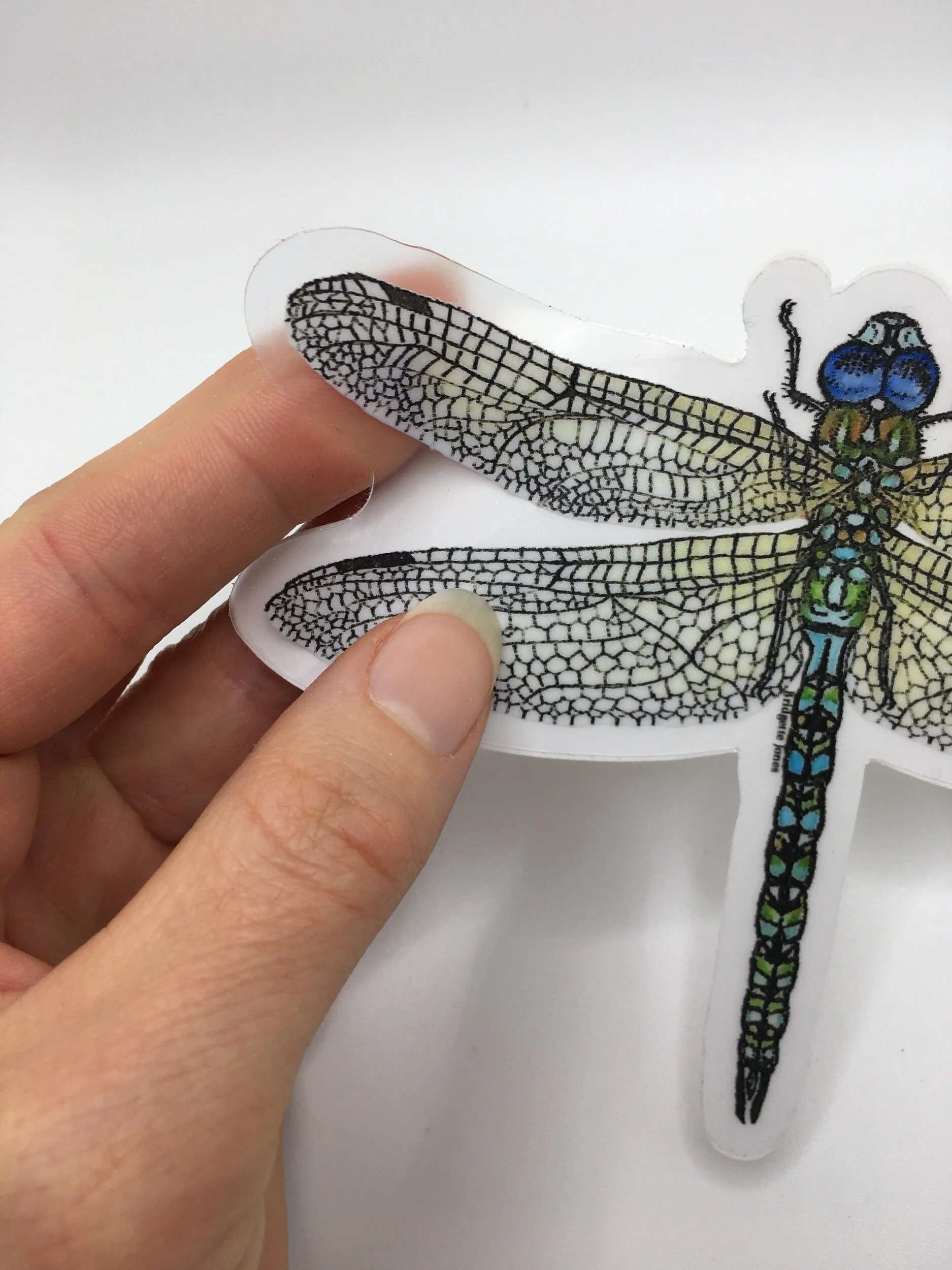 47DF38E0-8EAE-468B-9E0C-BEFC1330EE32