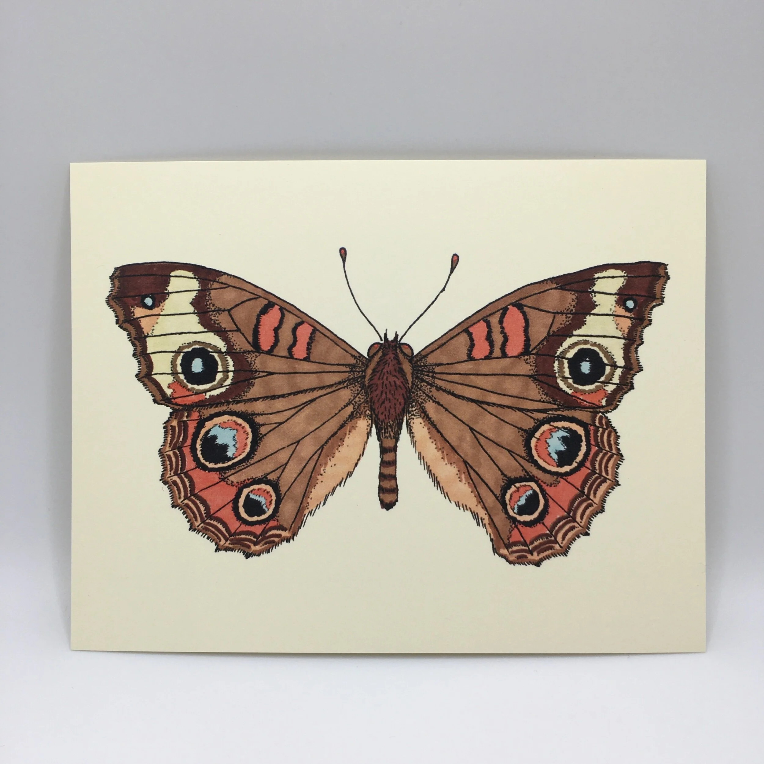 46A2693D-3DF4-4690-A29B-9868D2DA5408