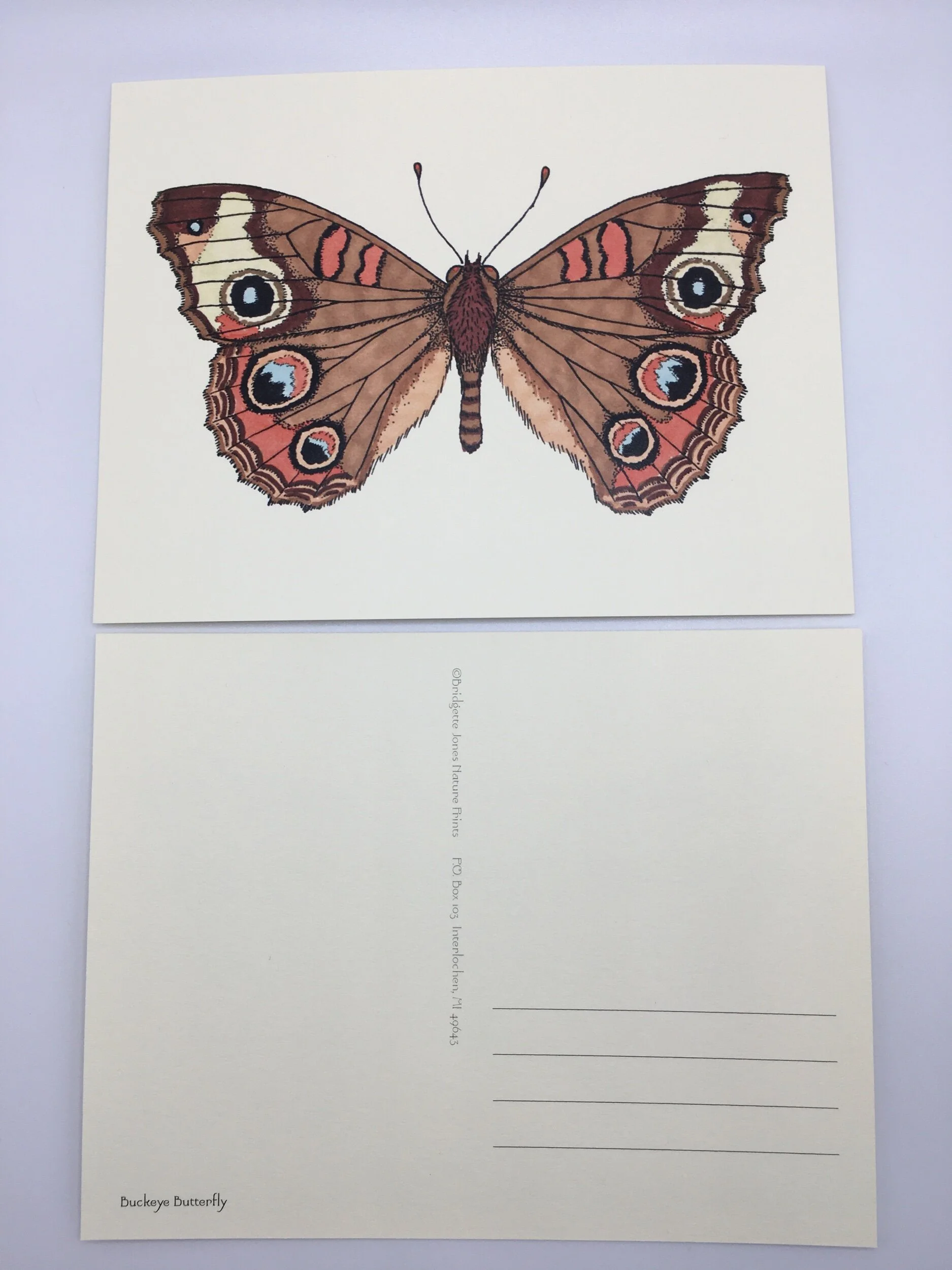 D31BE7D4-D6DD-49E5-B88A-54E23844CD51