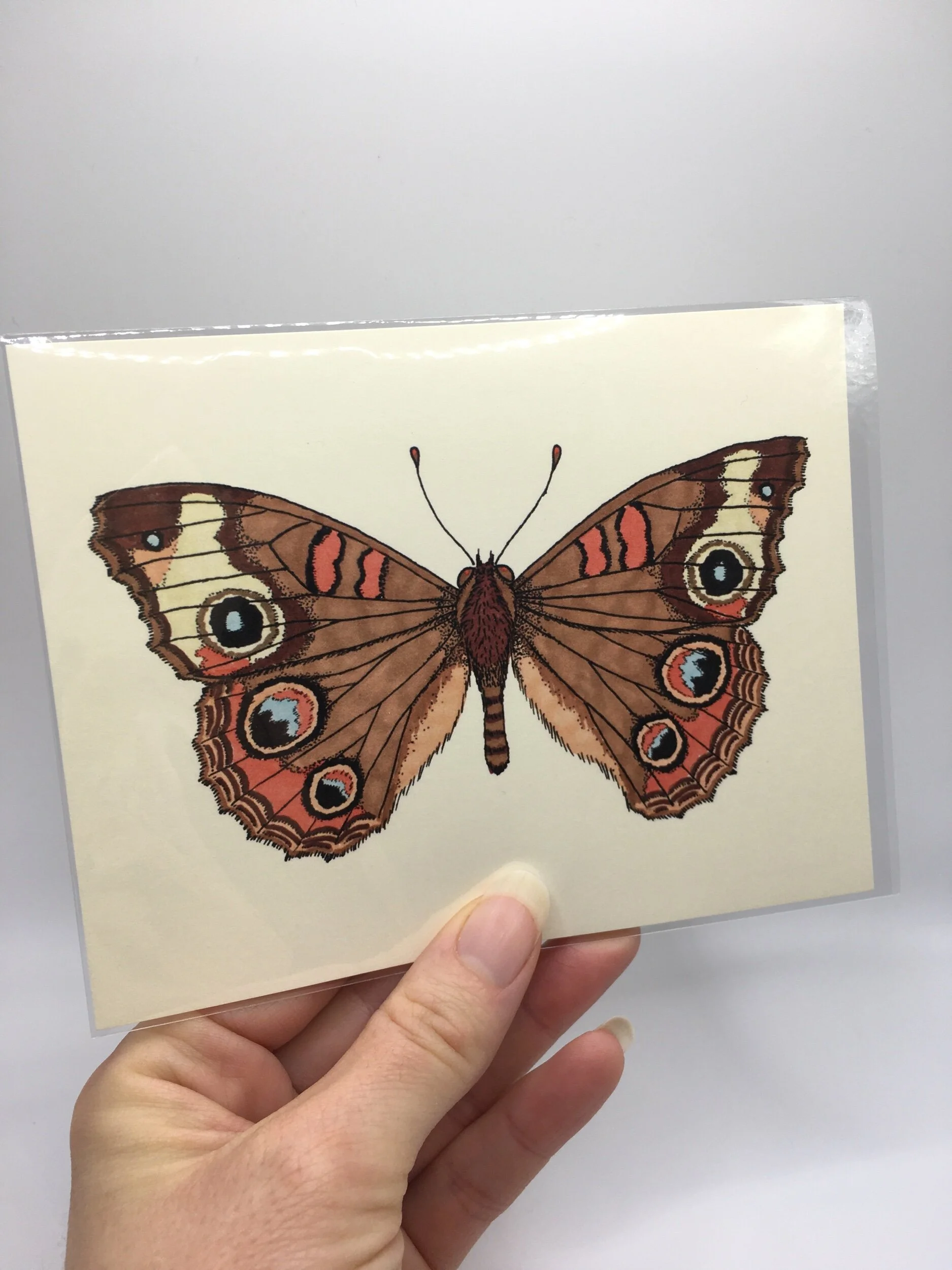 84954F70-42AB-4CC4-942C-DB8179F78F7F