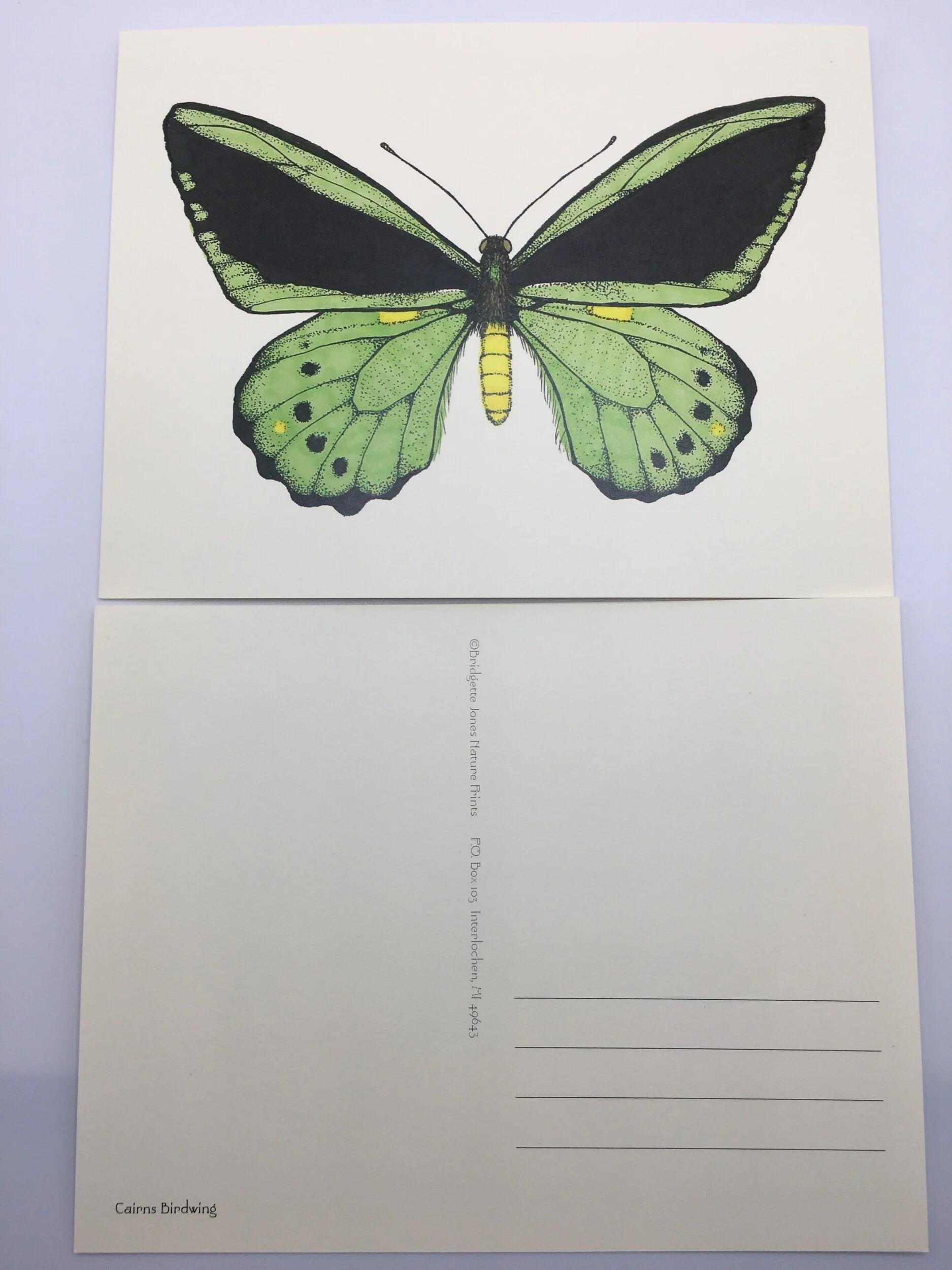 32F52A27-B0F5-4F4D-84DF-248E6DA99BEE