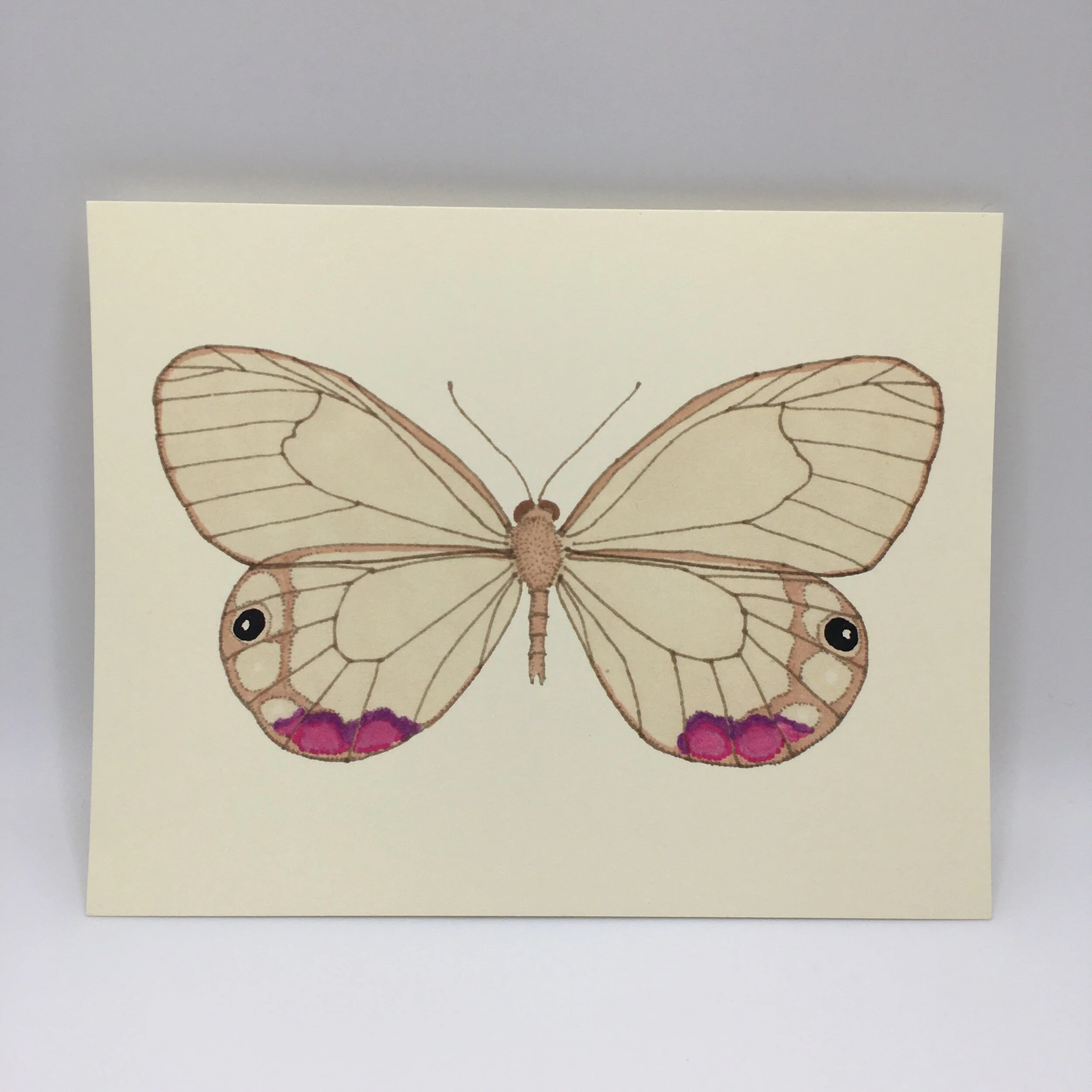 56411D67-06F3-4C3C-BF68-A1BAA510C847