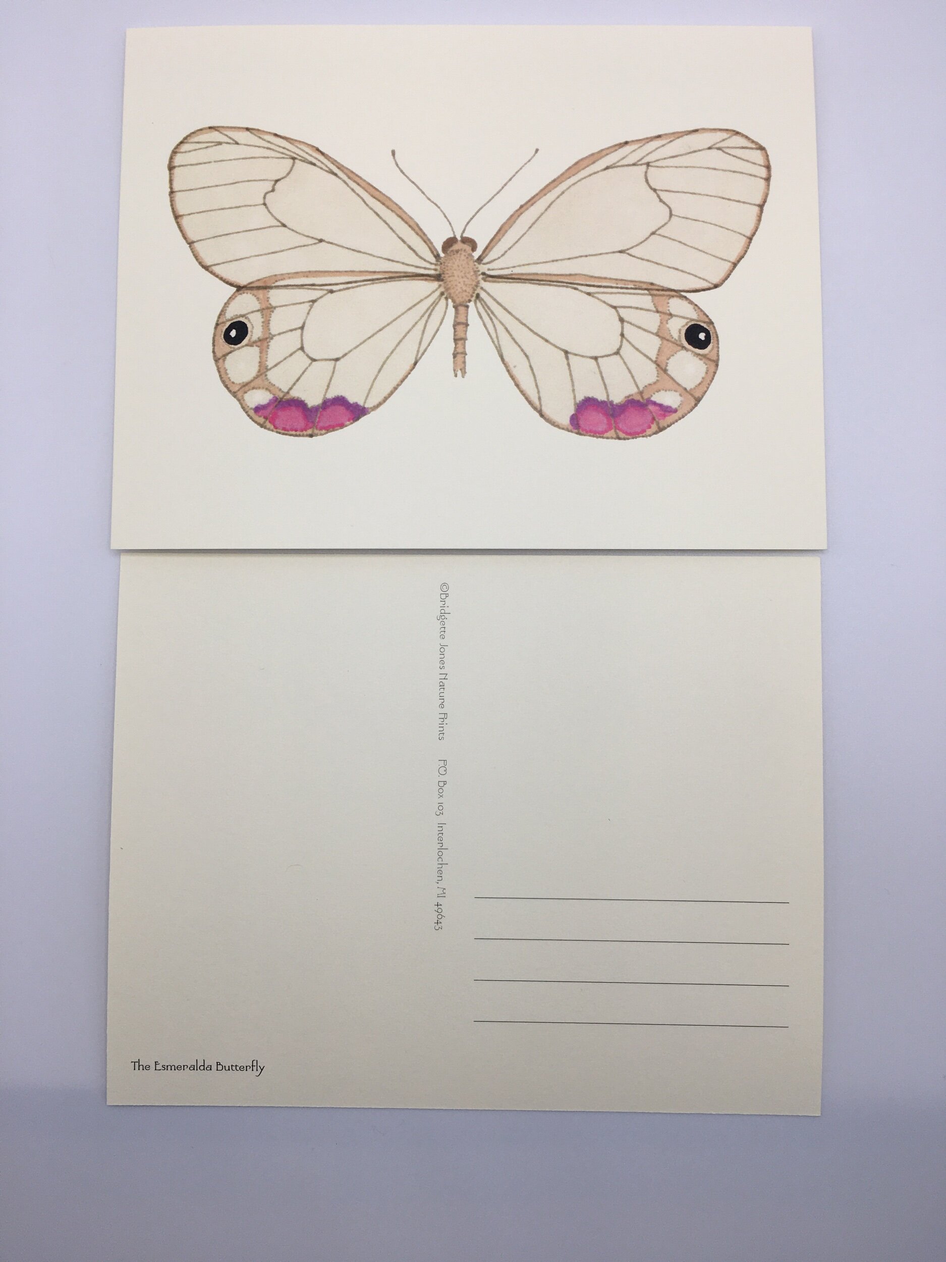 F15D7FDF-D059-4347-9695-7C506013154D