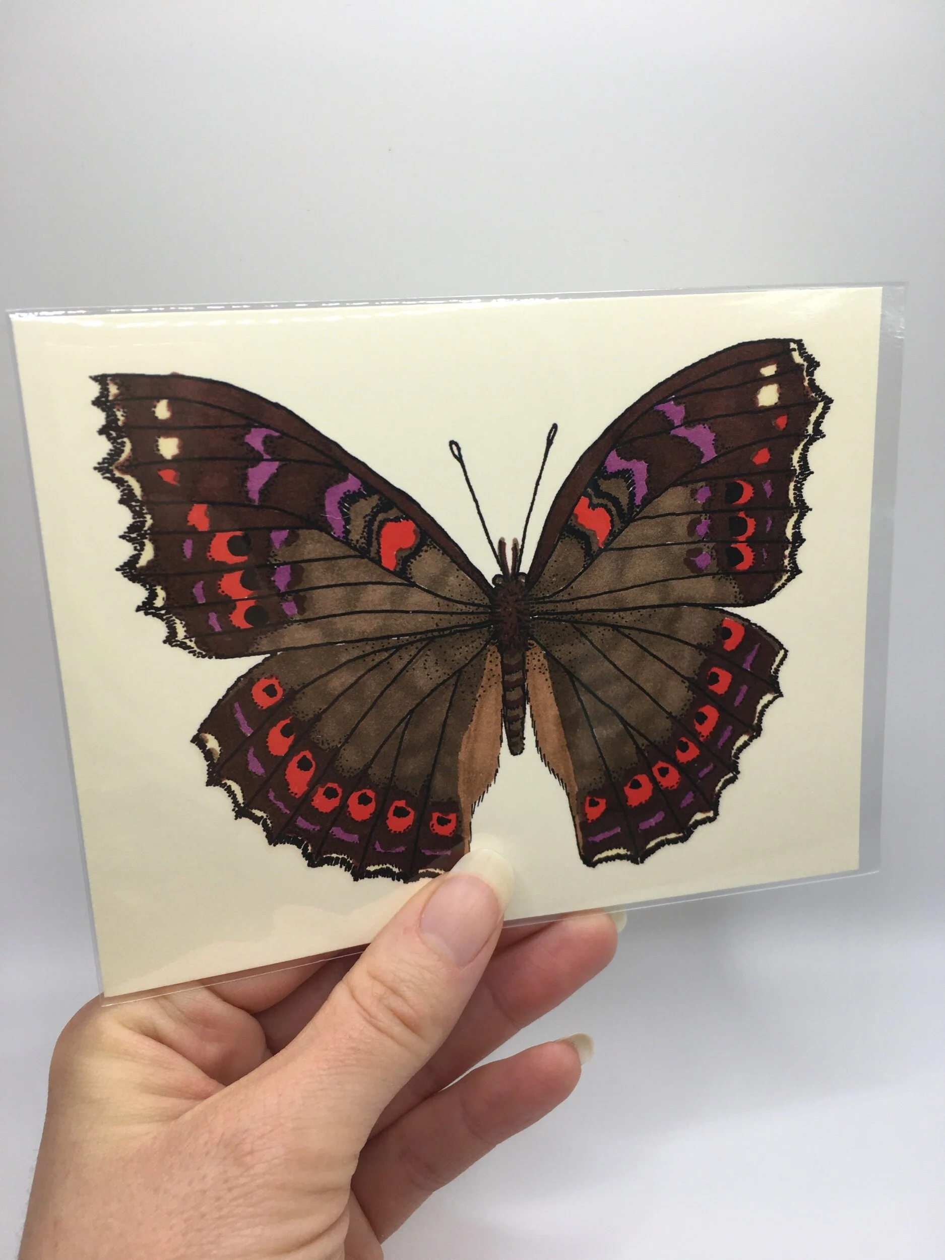 823E6B53-6D6A-48C9-824E-0D8AF1469246