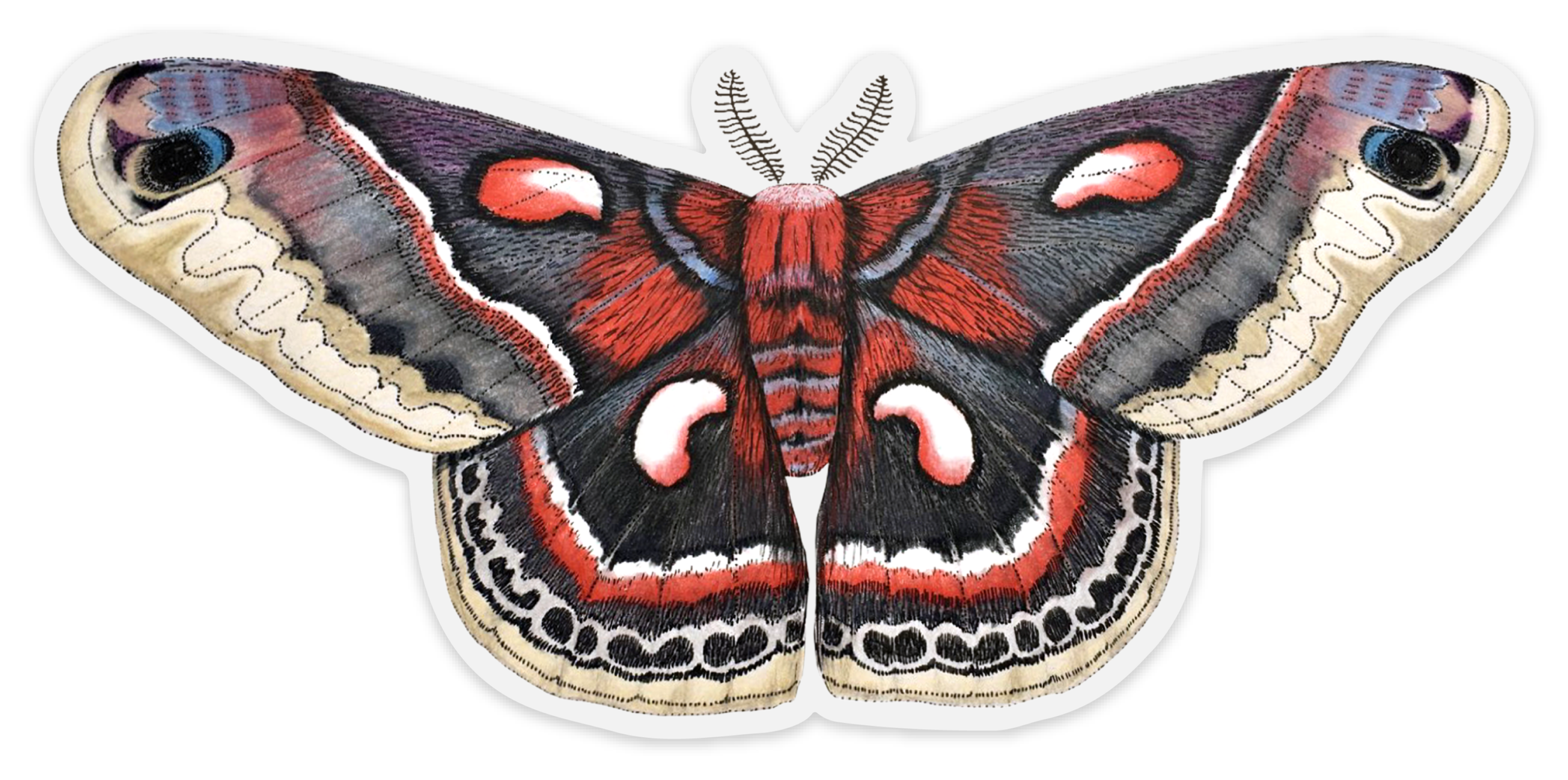 cecropia image from SM.png