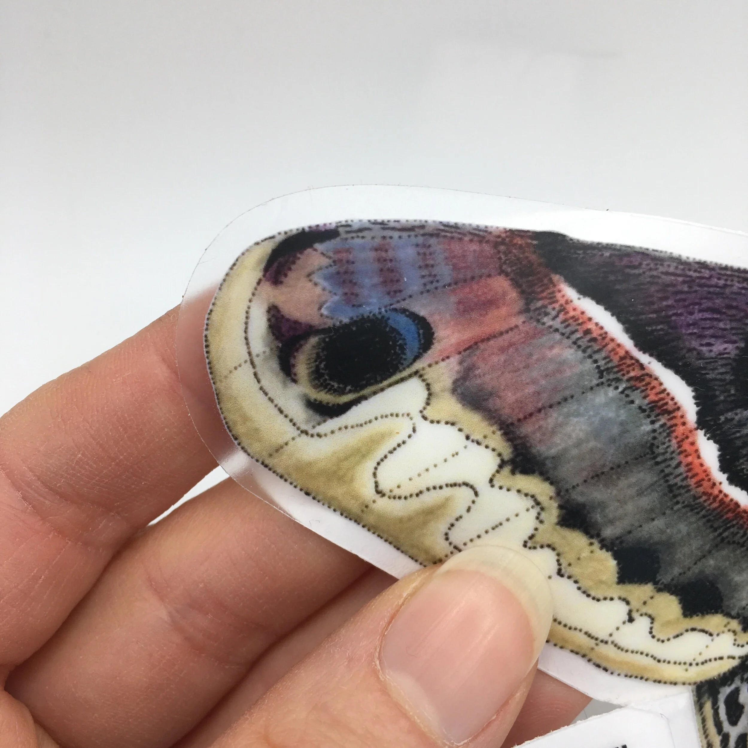 C3913E3F-C465-402F-BDB7-885BA581269A