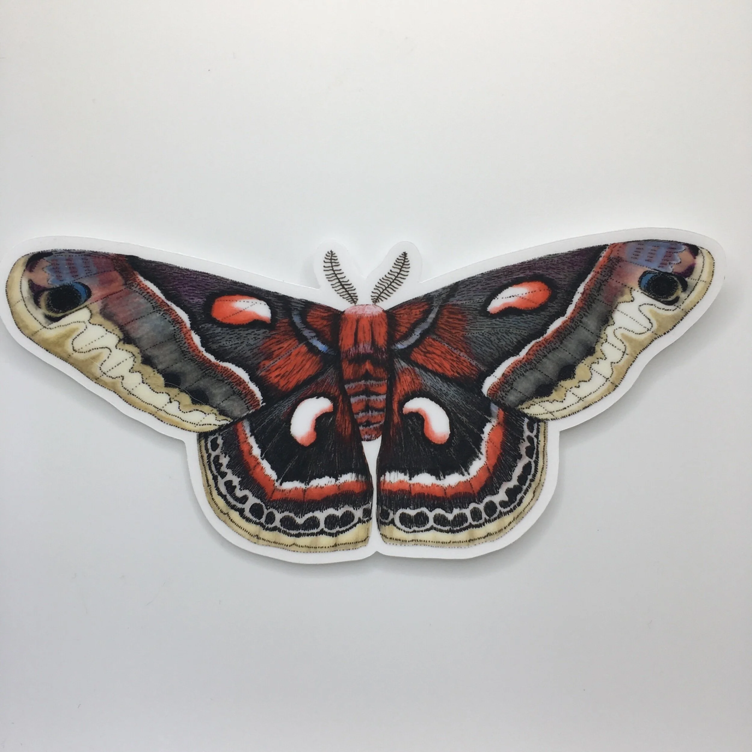 B9FCCEC6-1196-4424-9D83-87BBE9C73AE0