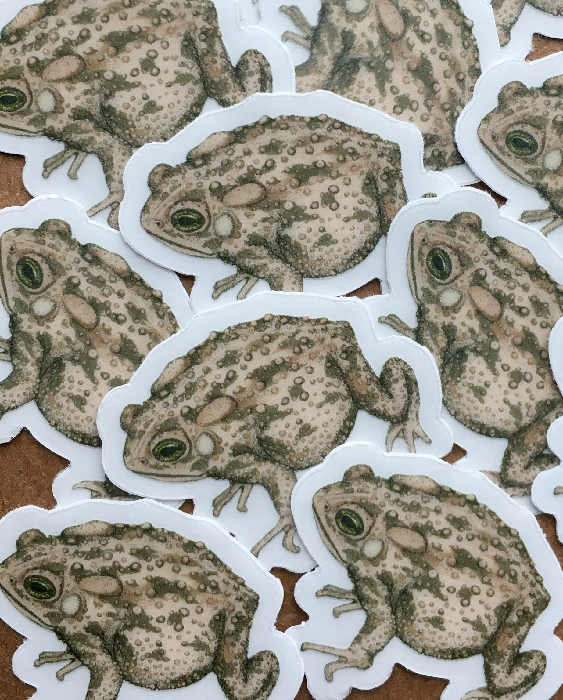 1C209E91-D885-4AF5-B852-4435AAA2D10D