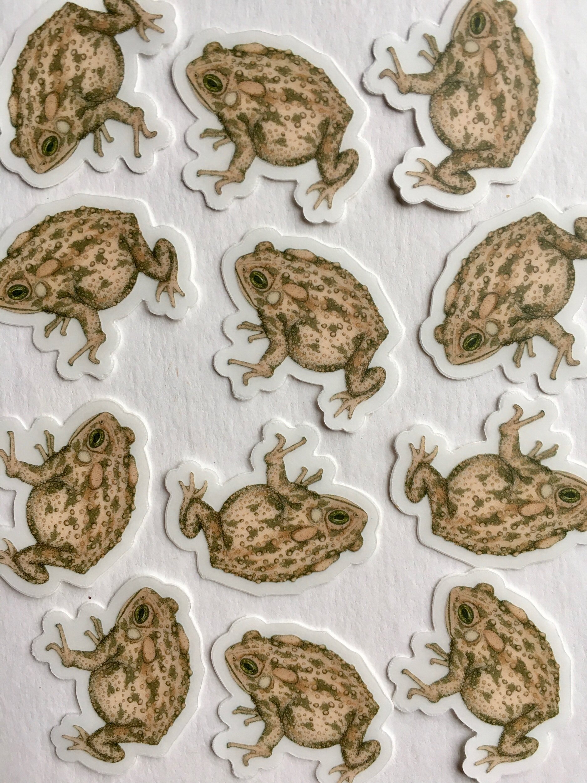 6640B69A-7F3D-4016-8024-A8644D6A620C