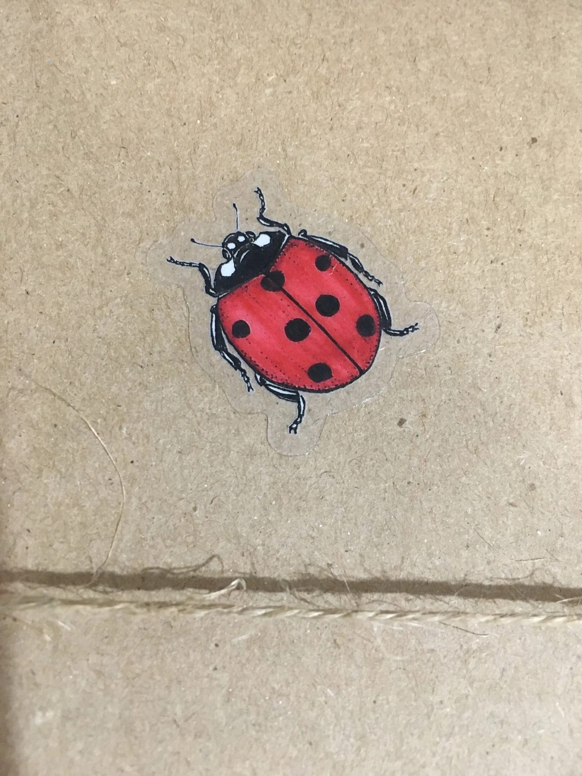 B88FF676-9A18-4BCF-996B-E905940A5BF5