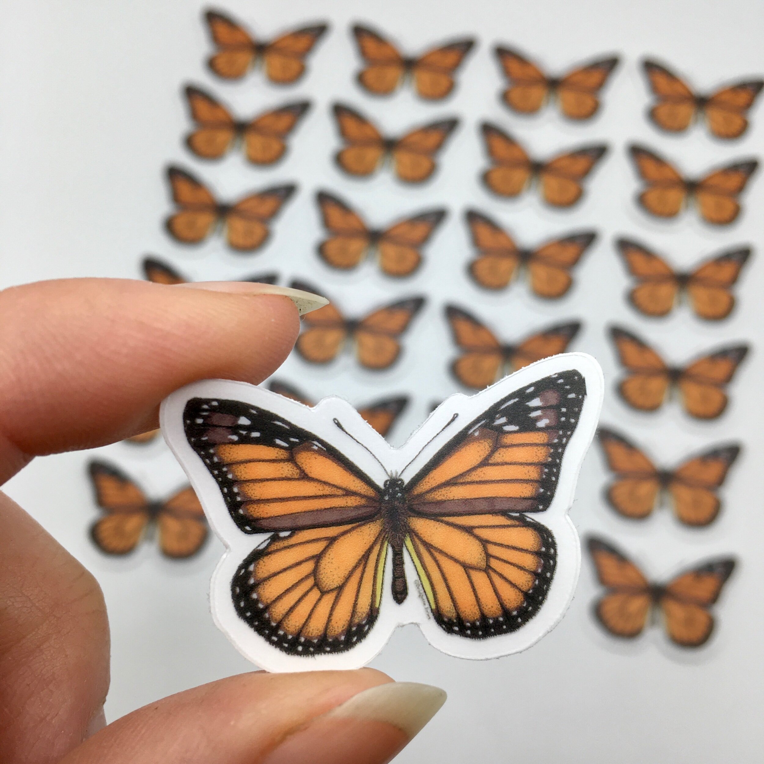 44B6FADB-DF63-4E0E-B1CE-22493E0B5FF9