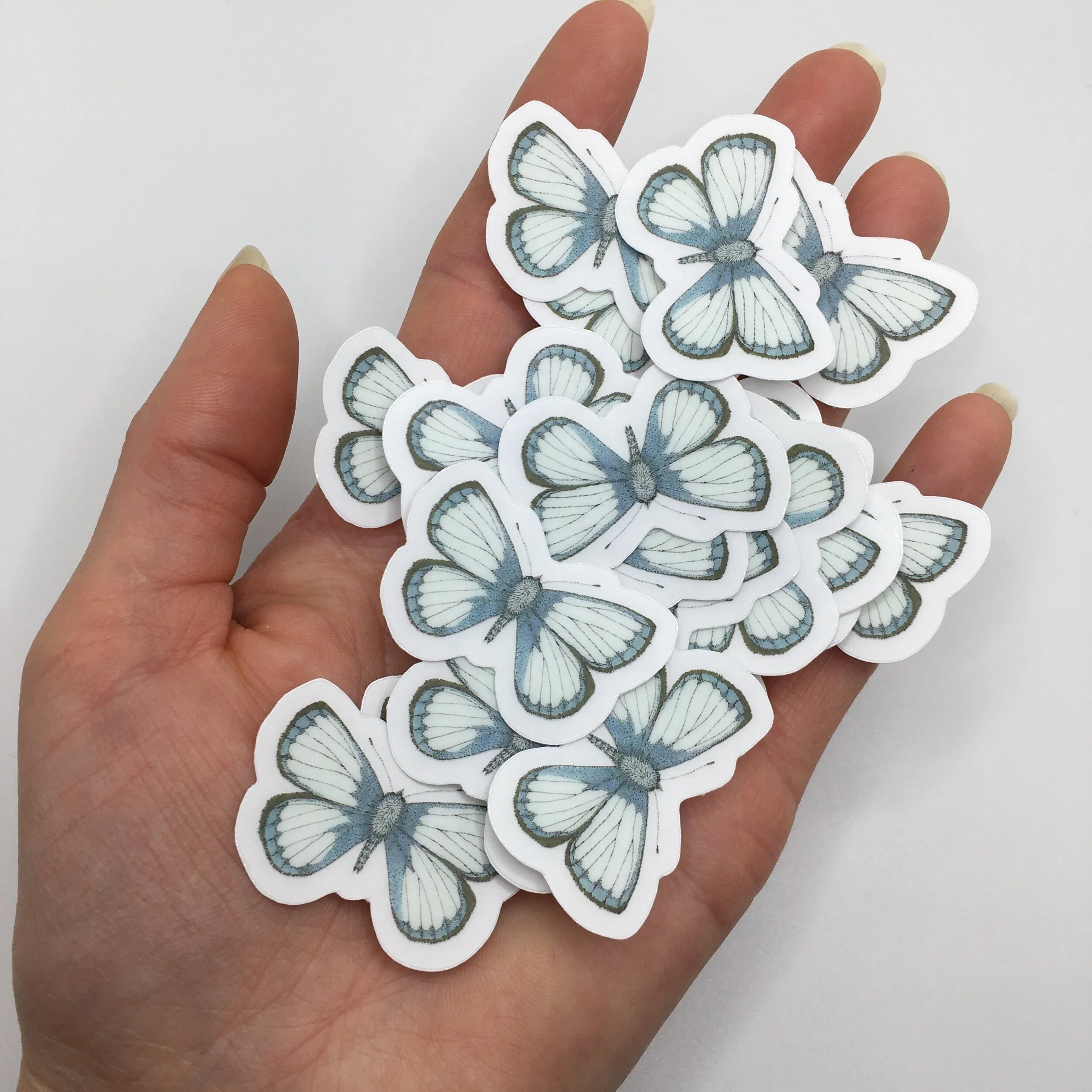 99AC76F6-DB24-41D9-B673-A4EF37CE3234