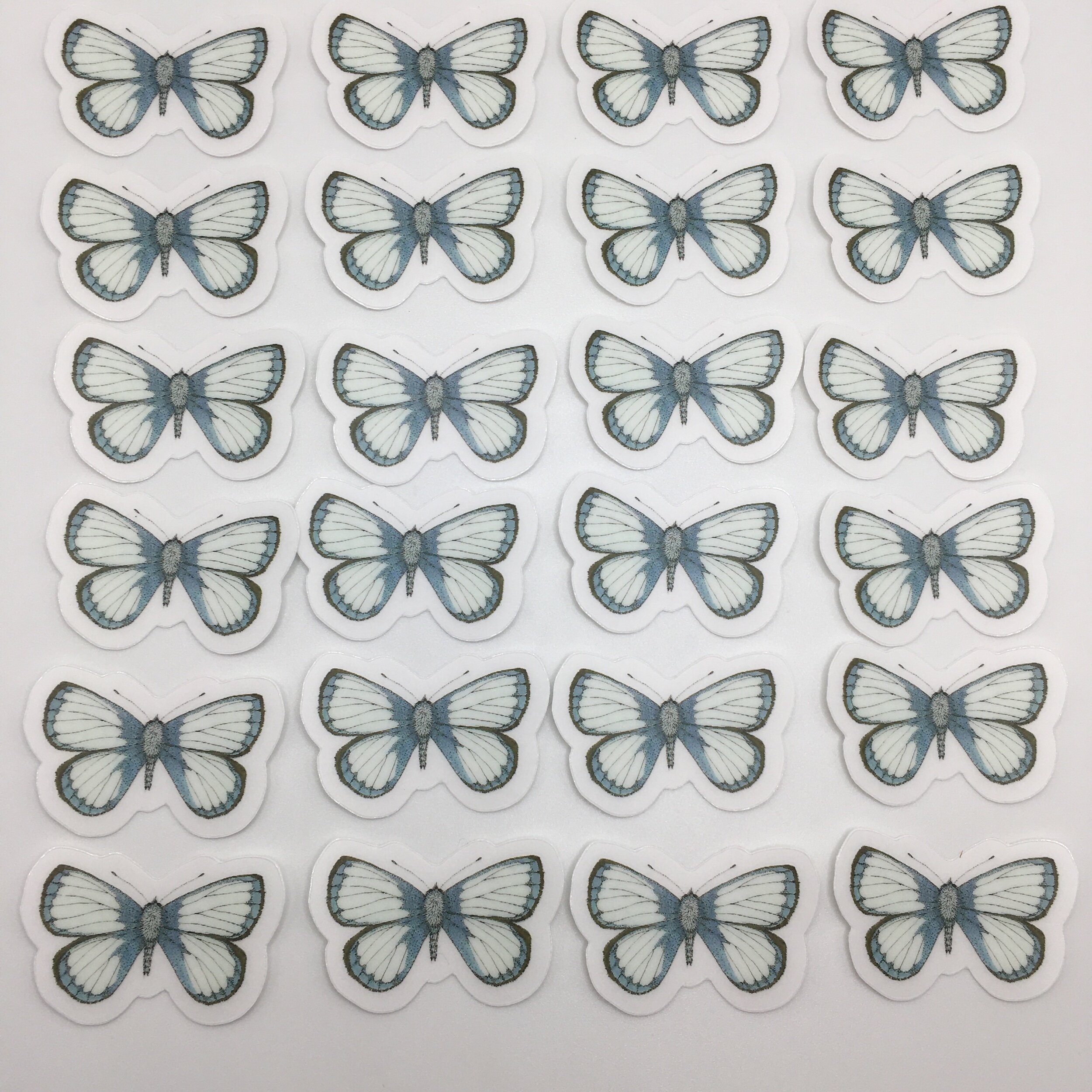 B4F2EC61-2DDB-4A74-84EC-D4E92CF480EF