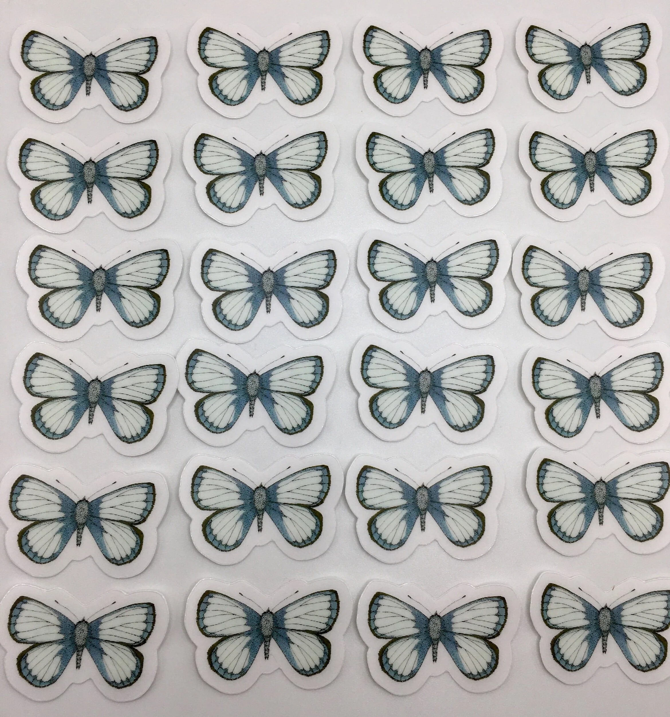 AD7F9AC9-7E07-4F7F-8534-DB6D1CDAEBD3