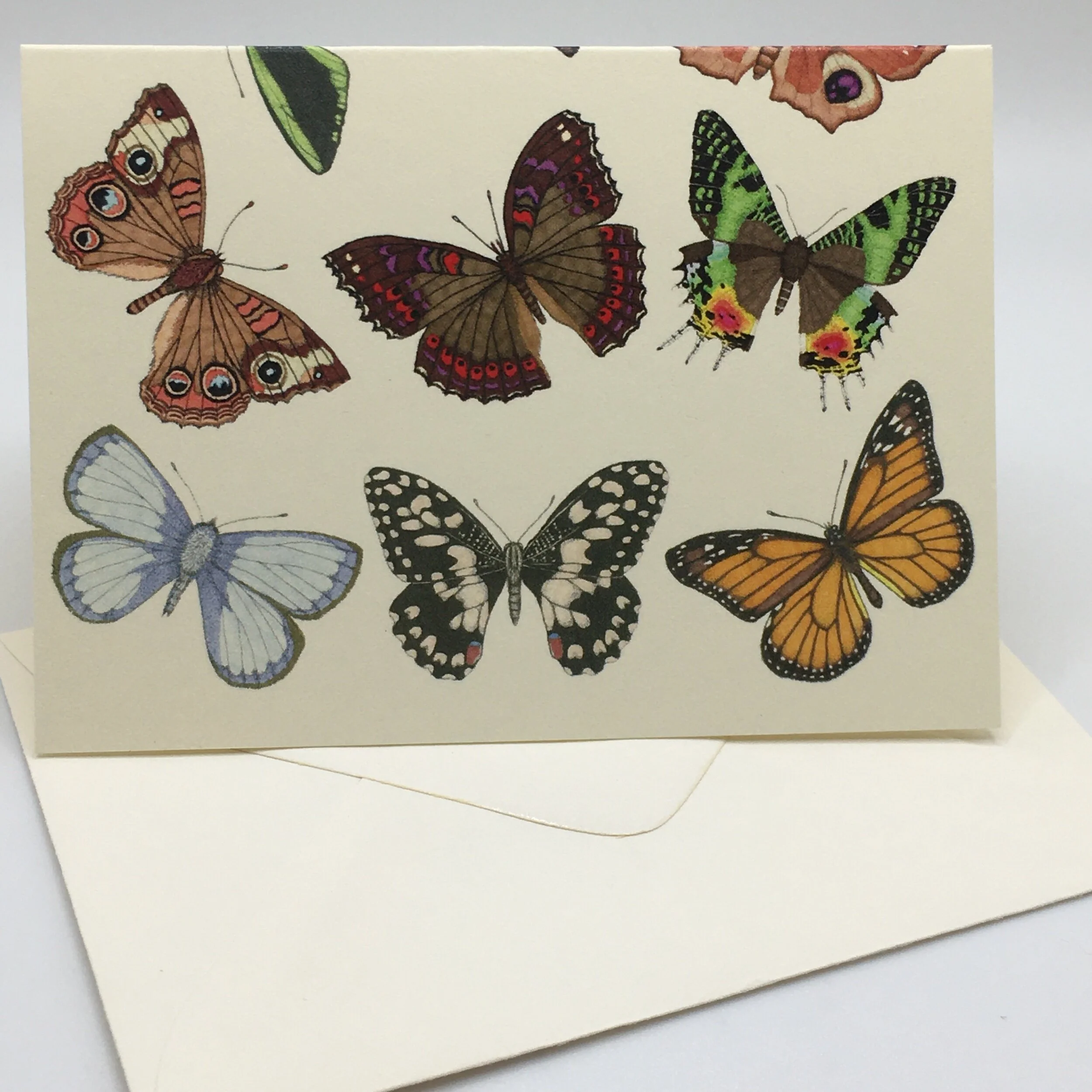 5FD7A8F6-E23C-4C48-8CB9-93ED3AB6A1ED