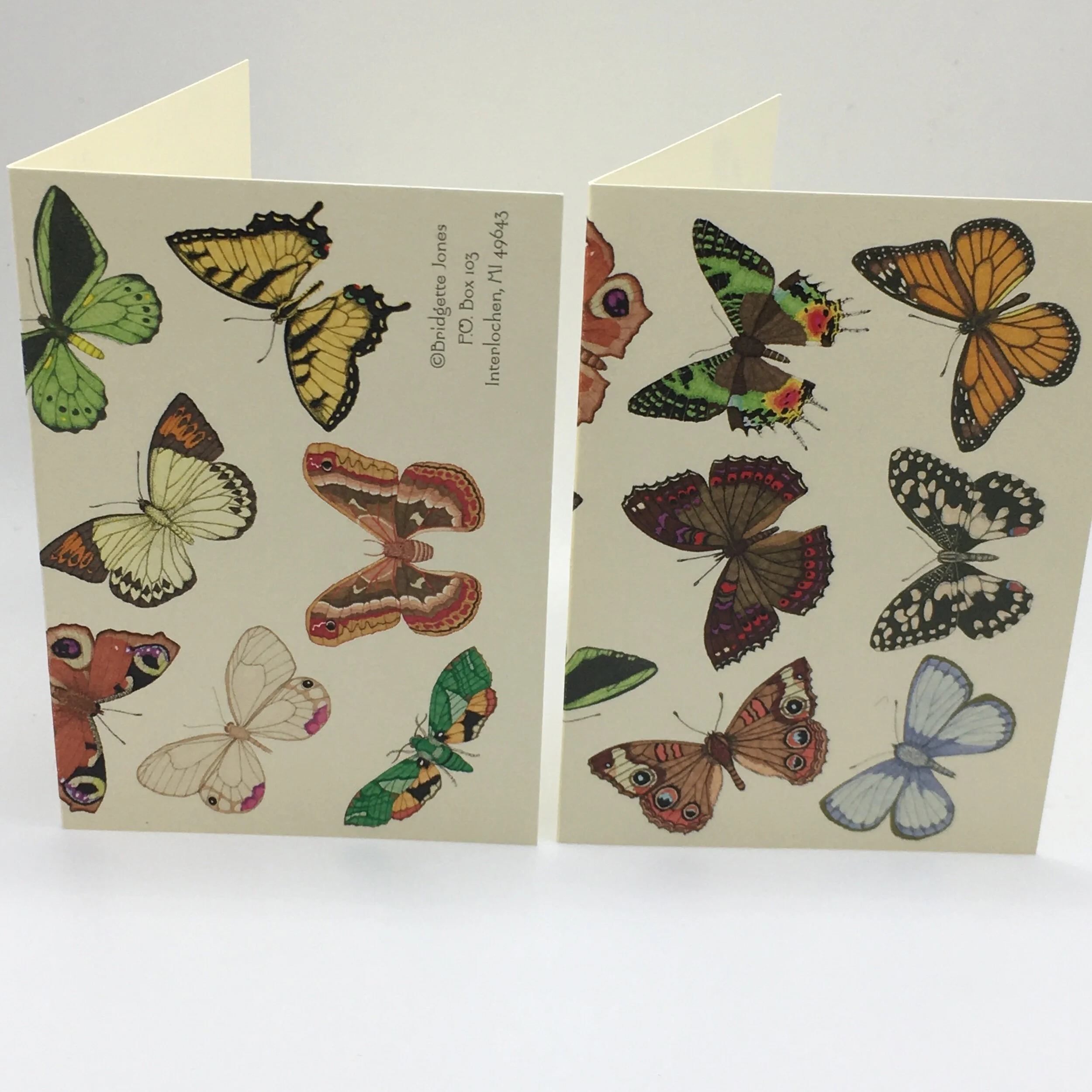 1F293E8A-FD12-423C-BBCB-1B1B544FE818