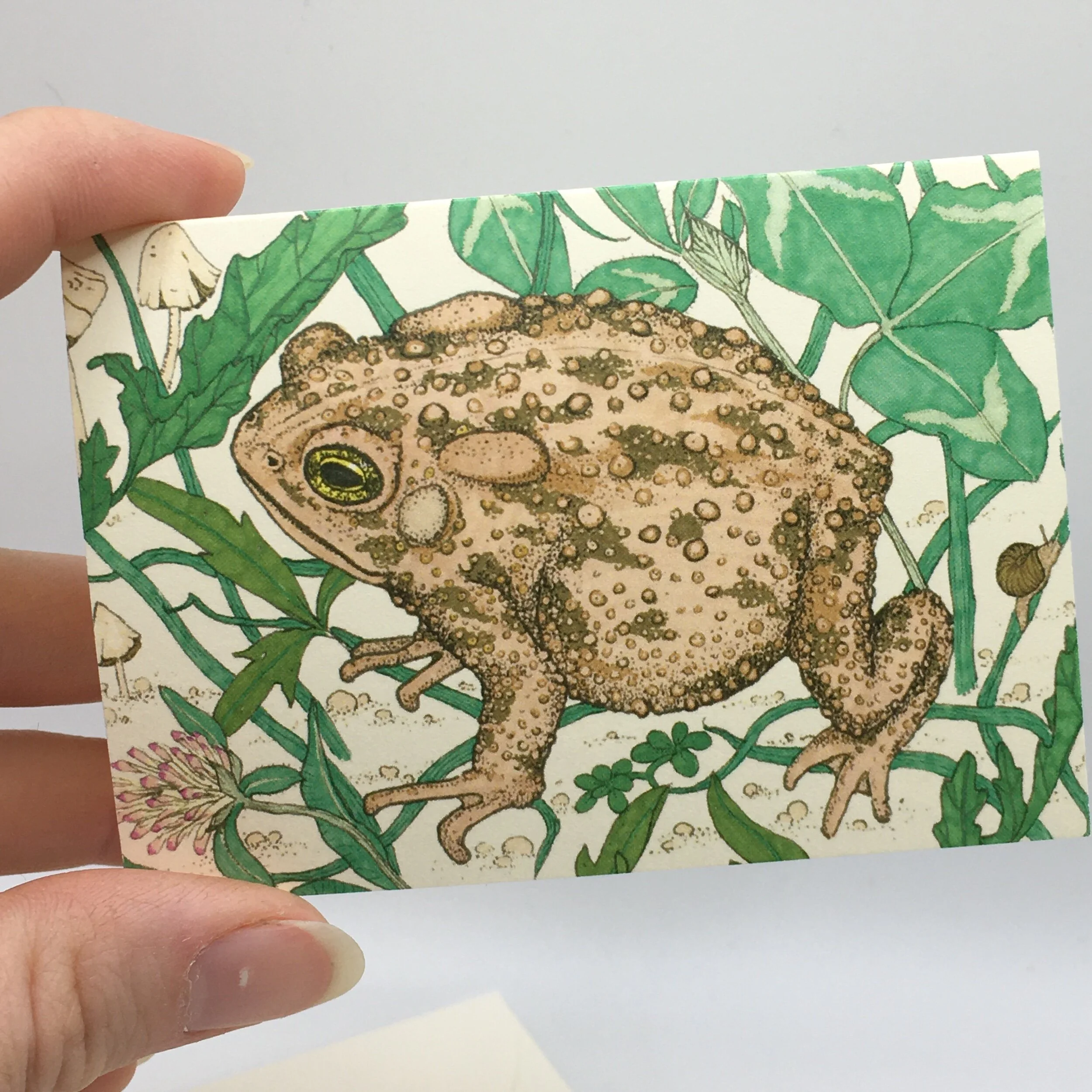 5311AFC6-1EDE-403C-A3CB-501BF1FB18C4