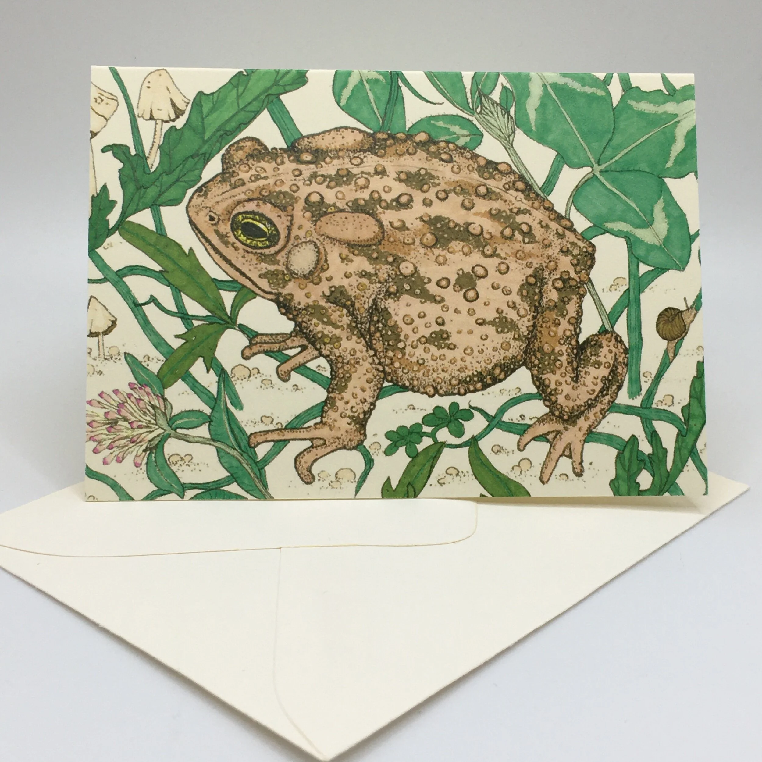 53D32DCC-2DB8-43BB-8FFA-3BF13802D7FF