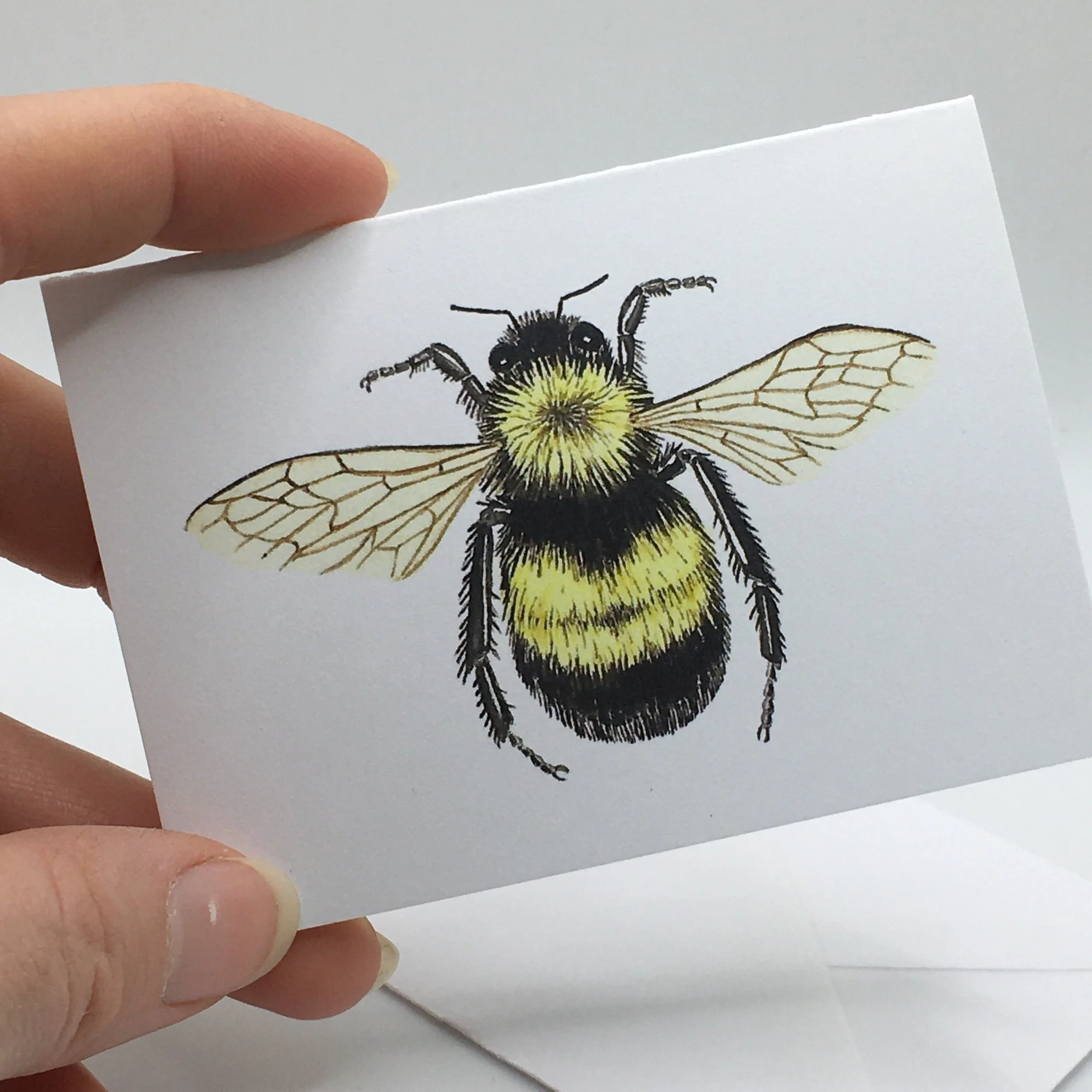 E7E93EFF-F533-47F9-8FF1-AAB2FB49E51D