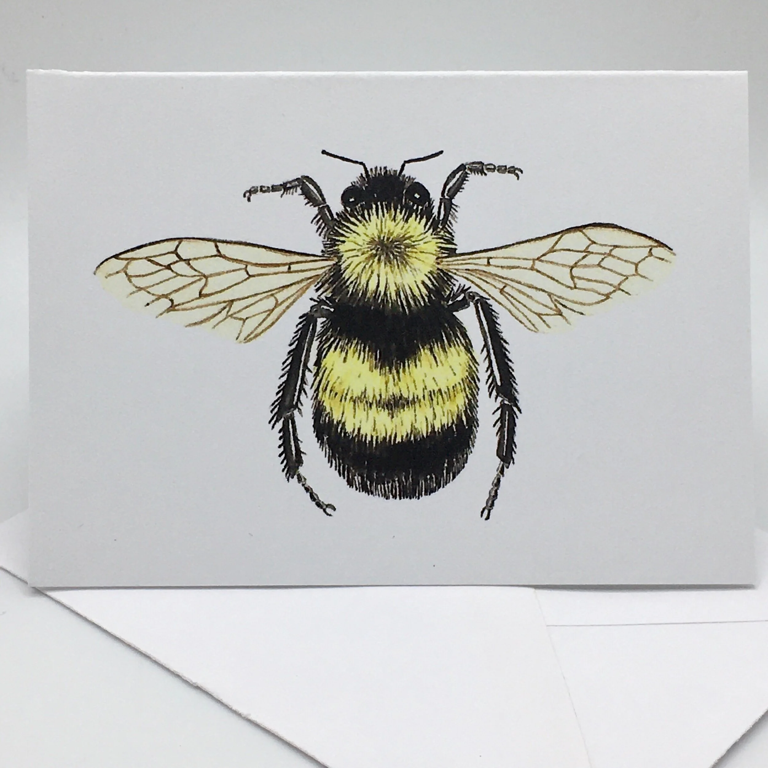 0170DC3C-D65C-4589-9034-57E943BDBA95