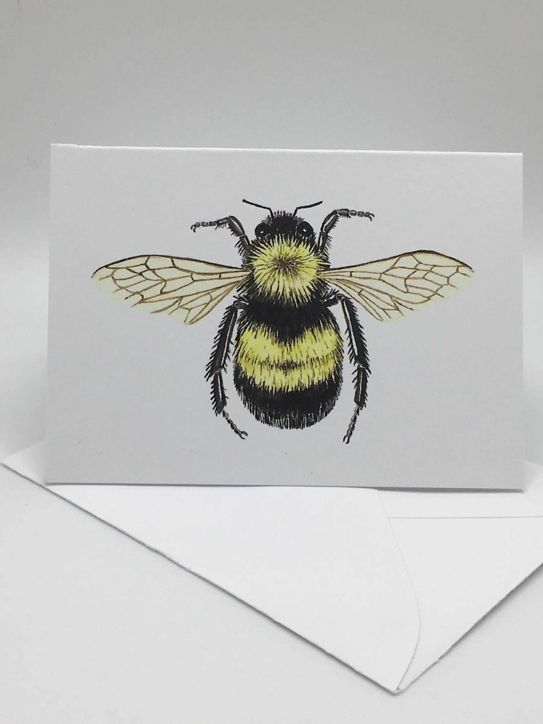 B0647965-1787-4BDC-B33E-143BAB9EB4E1