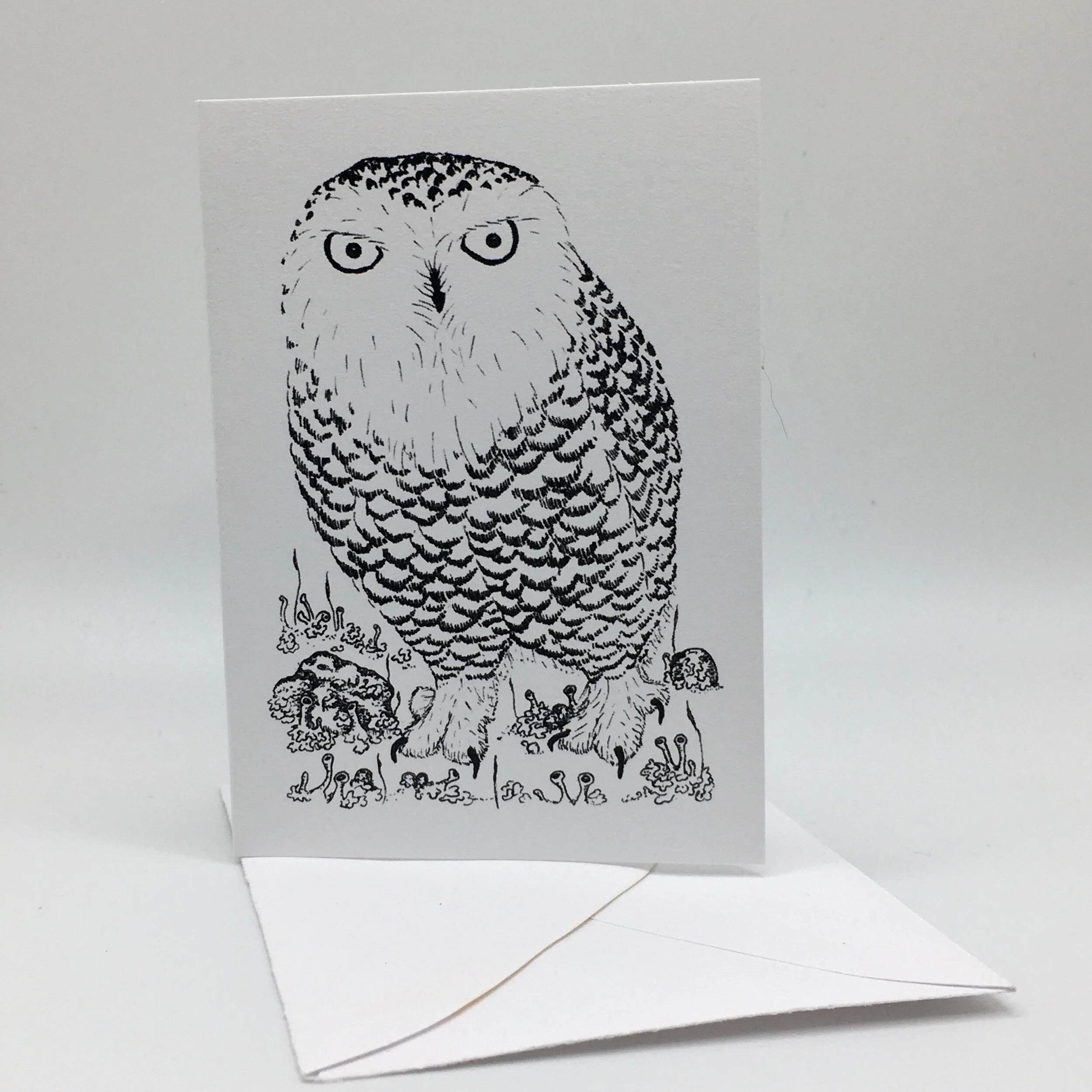 21BA2AC4-CF01-4C70-BBEA-D3AE821EBEFE