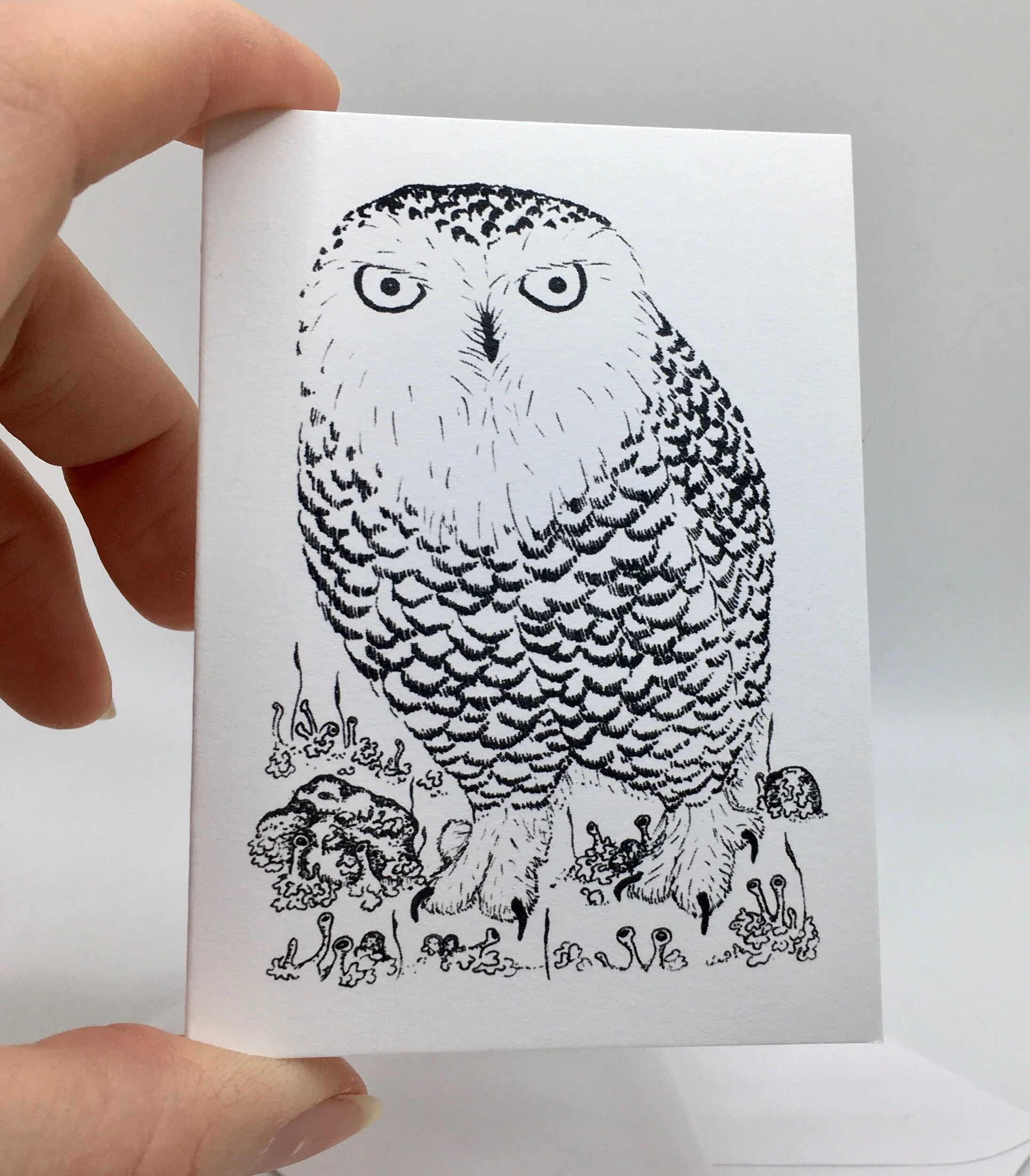 15EC83CB-C027-4D74-AB48-154F37F6588B