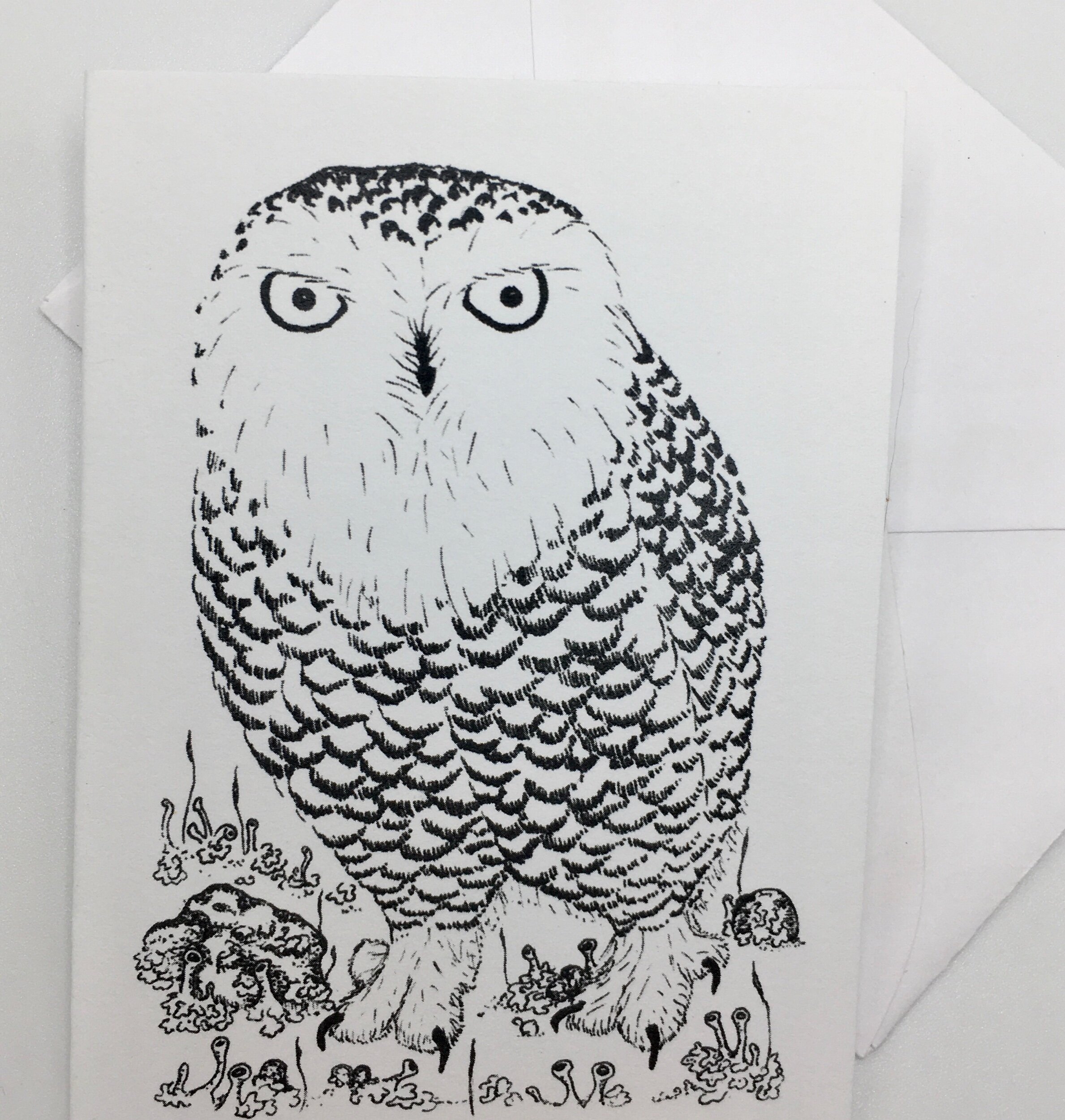 C6814EA7-1DDE-4CA3-B093-80070B5644C0