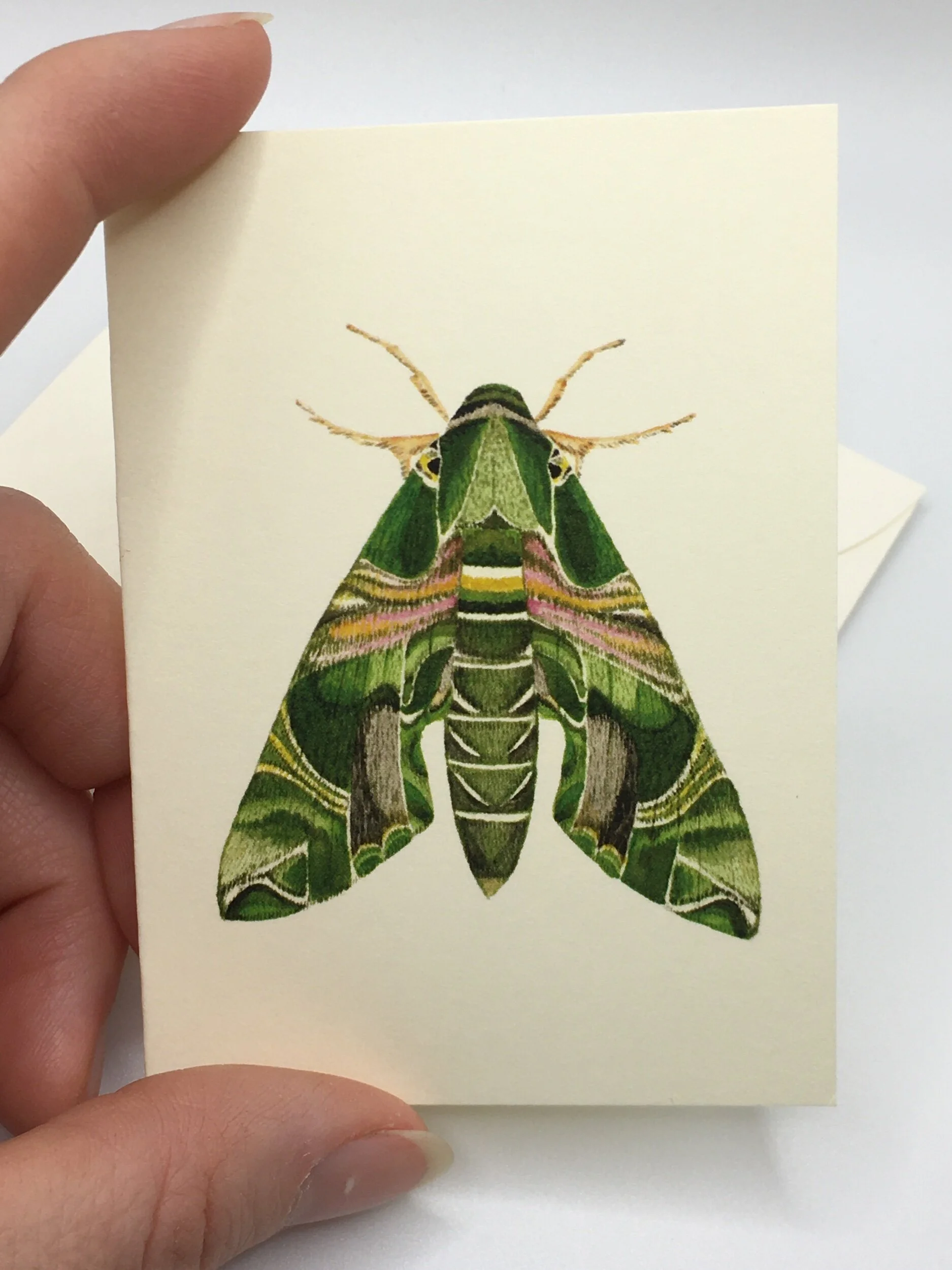 20D0519B-EBDA-4D67-B312-B83B83002866