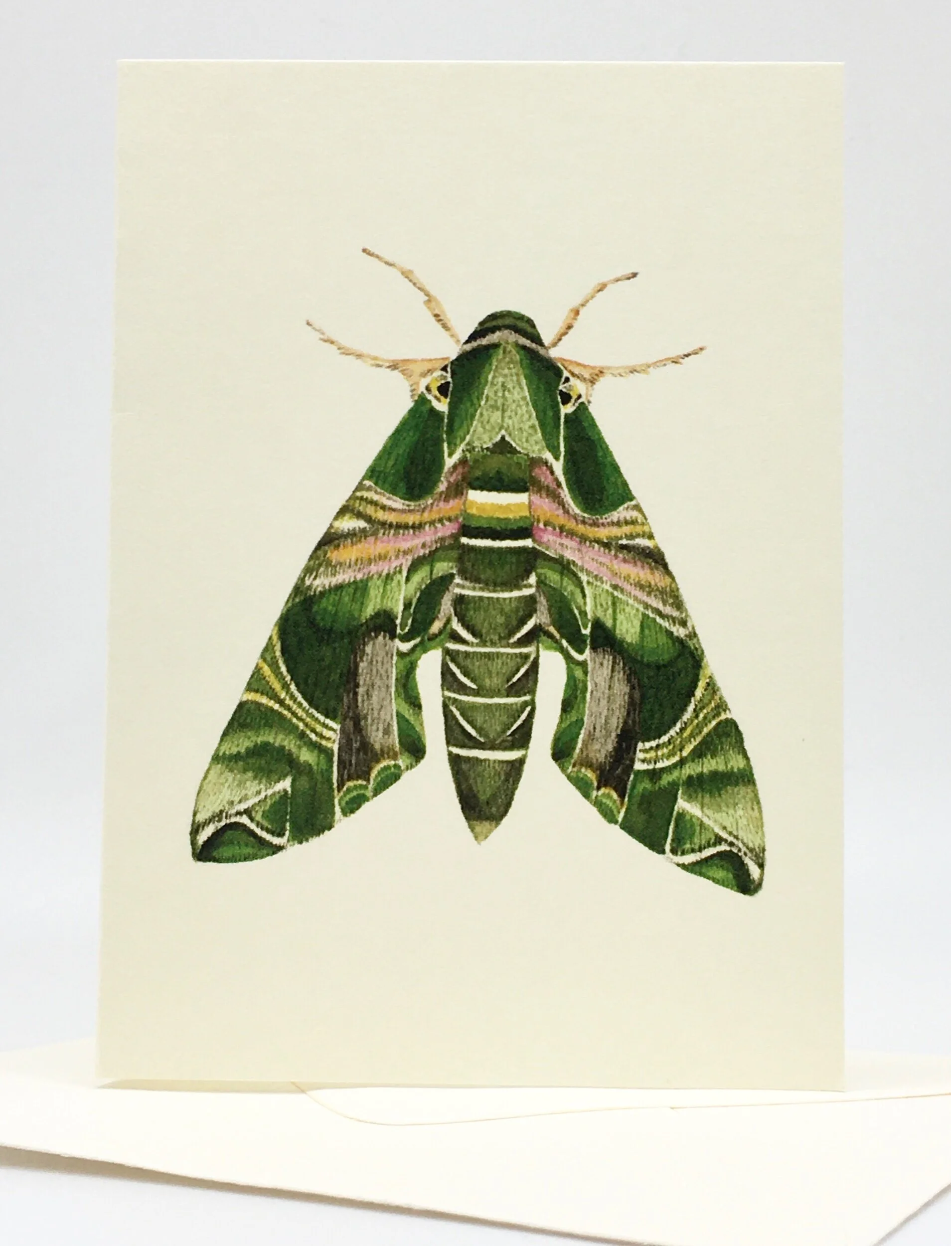 673CA29C-0E64-4F8E-83FE-F160F4203E0A