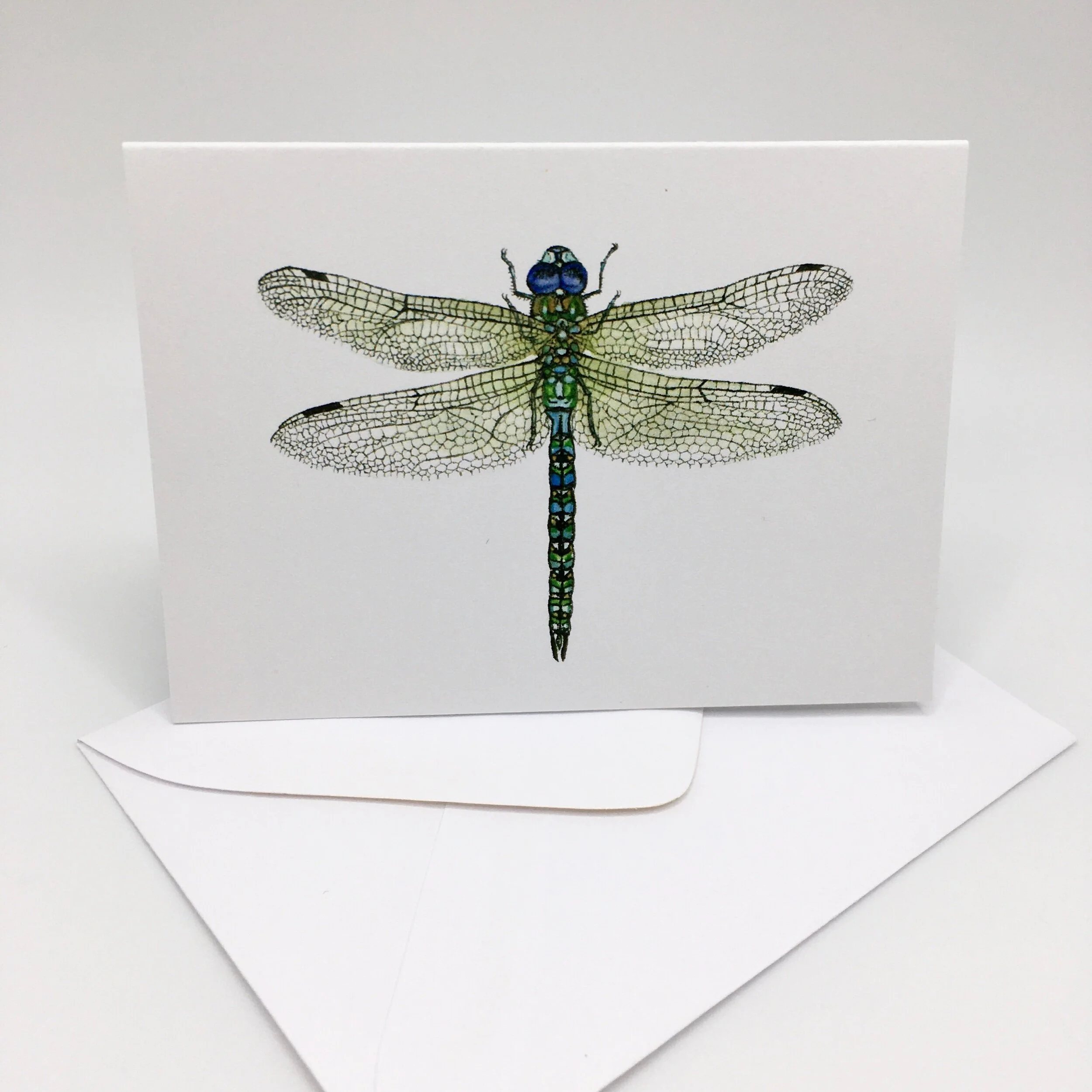 A3220971-EDAC-4BEE-B422-CC073682AF12